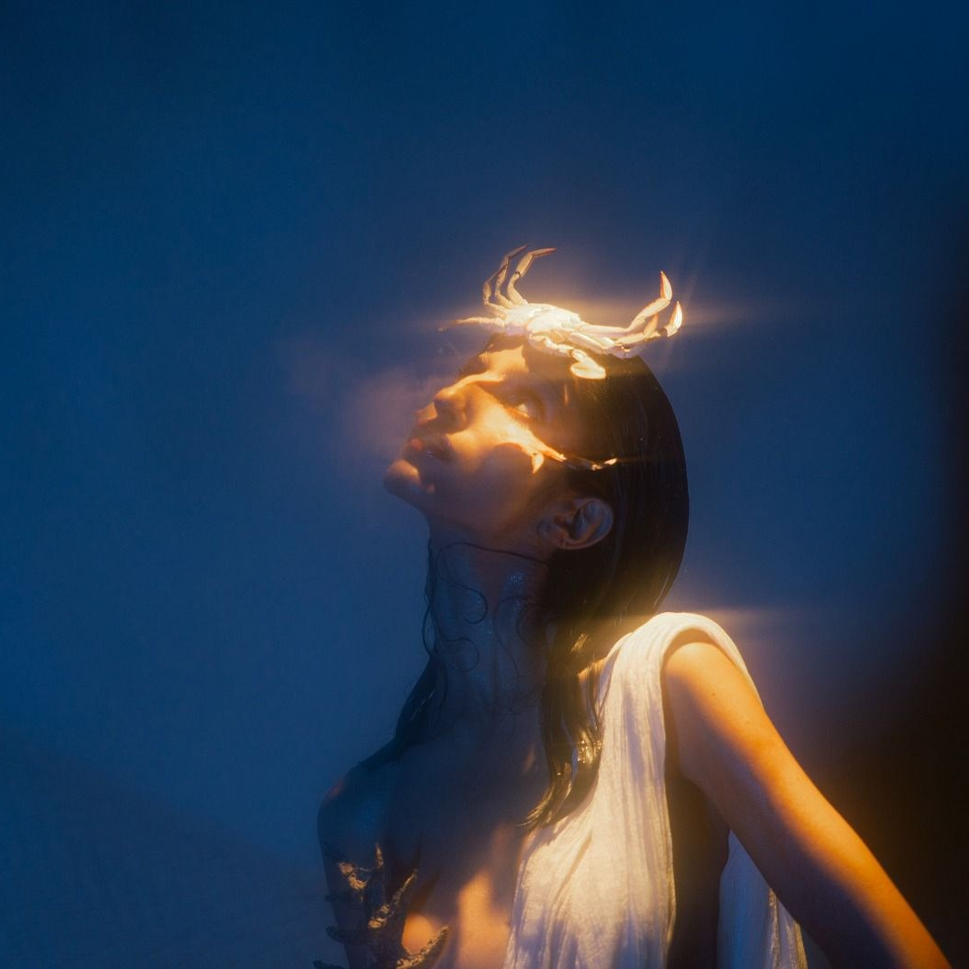 Creative Direction for Mother of Crabs Photoshoot