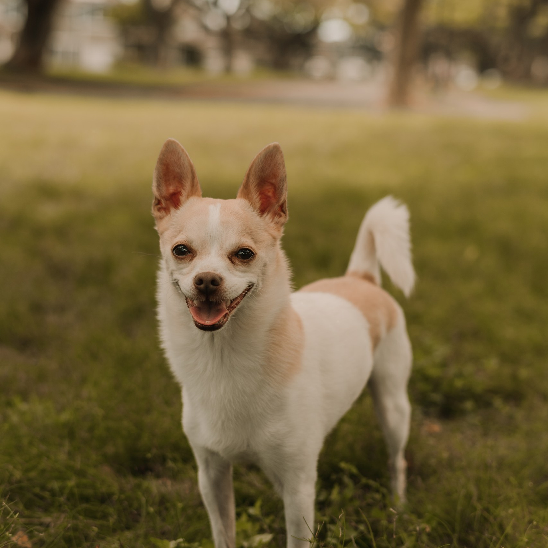 Testimonials. Wedding, family and portrait photographer in Portland