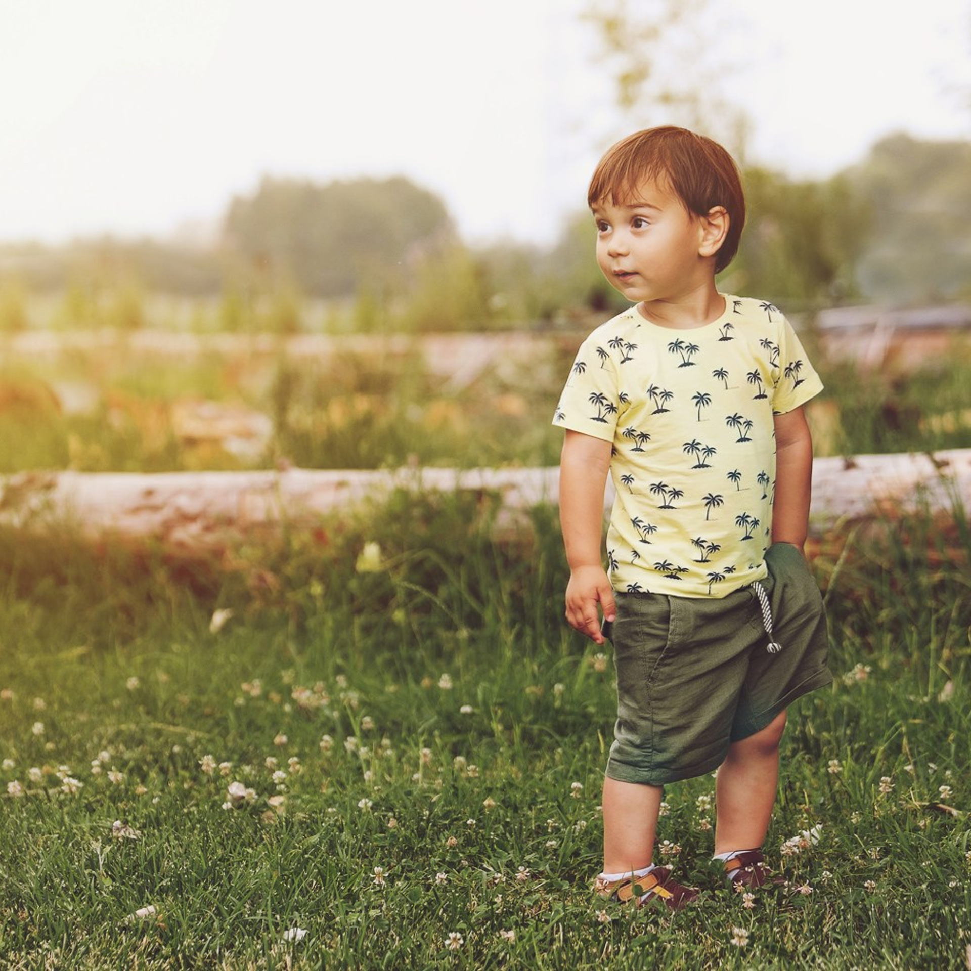 Ședință Foto de Familie