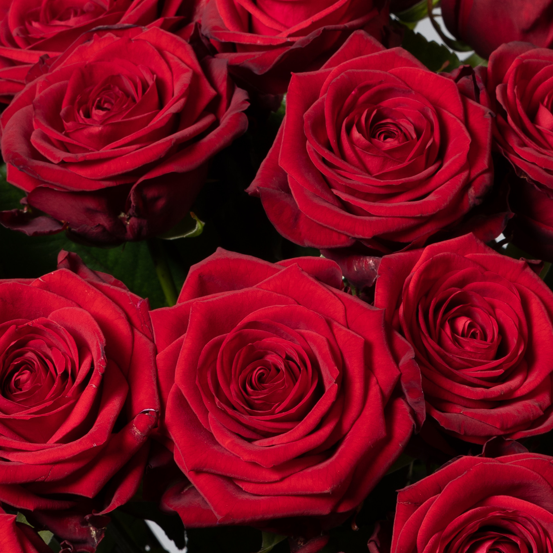 WEBSHOP BLOMSTERBUTIK