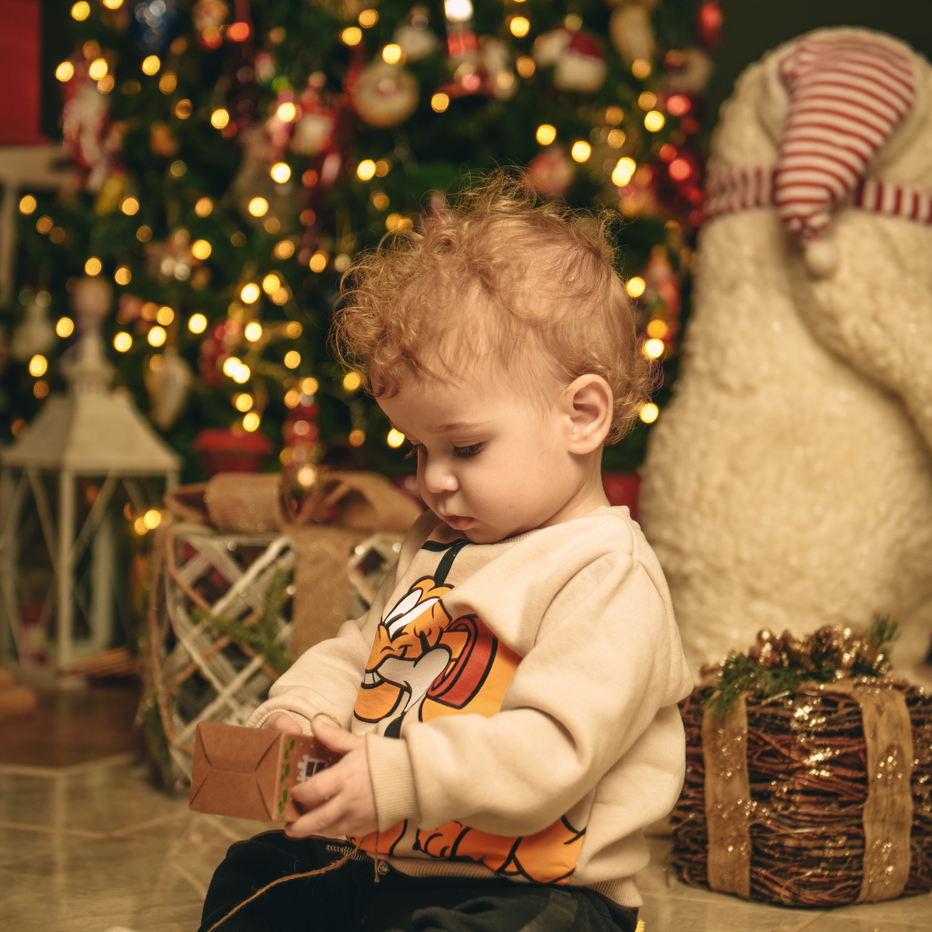 Отзывы. Профессиональный фотограф в Израиле Александр Лурье