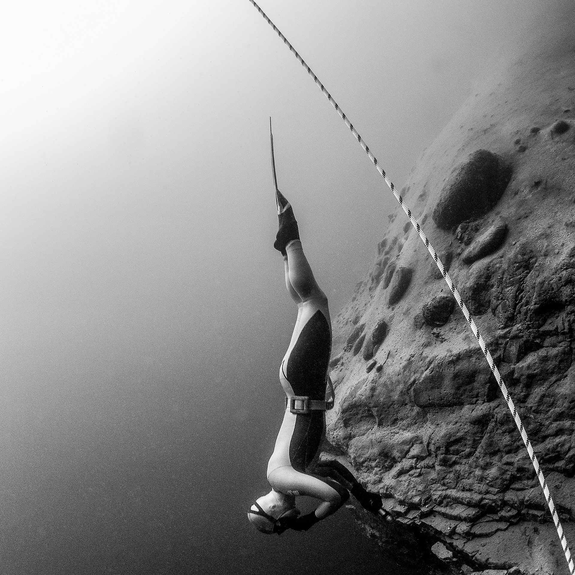 Testimonials. Your photographer on land and under water— Alexey Zaytsev