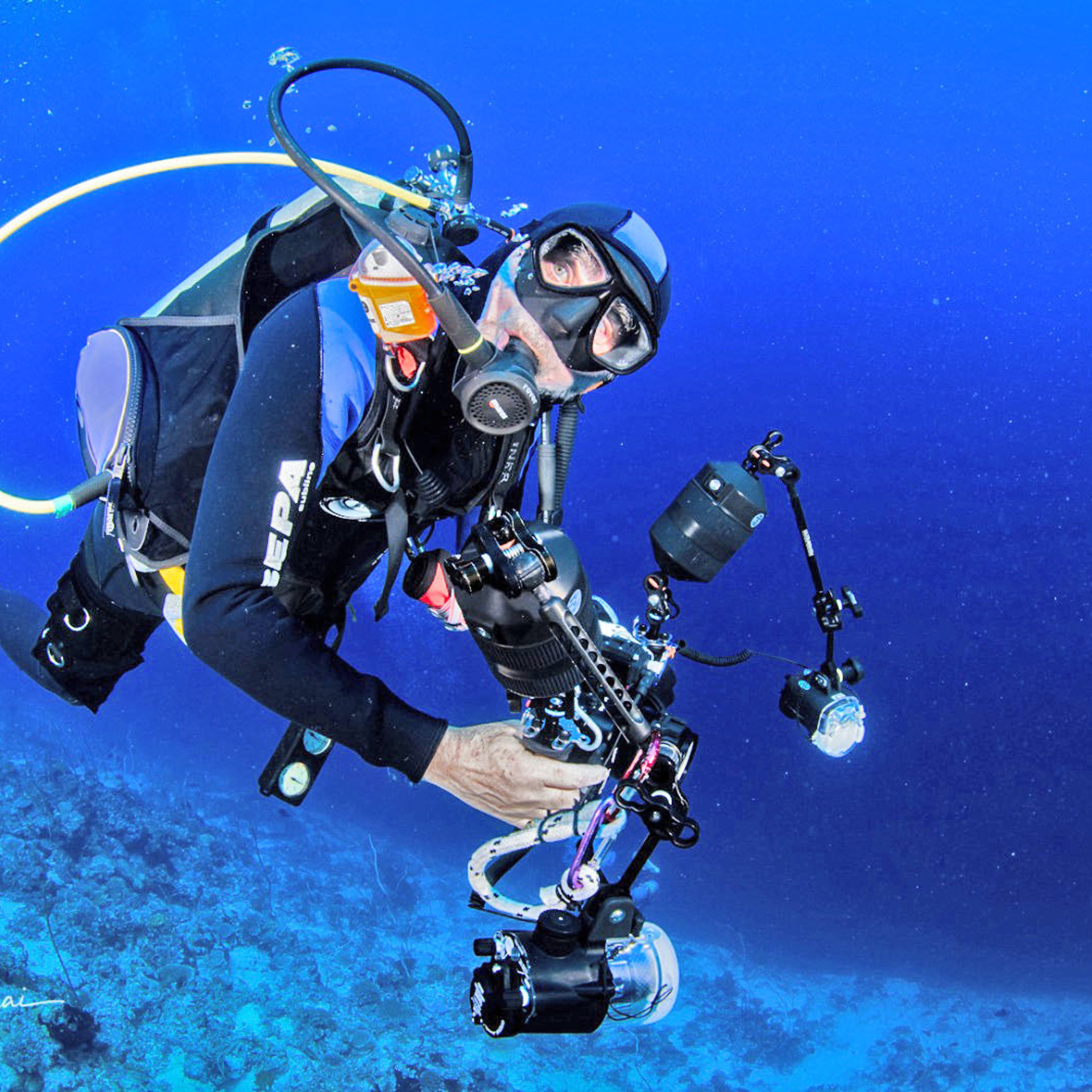 Testimonials. Your photographer on land and under water— Alexey Zaytsev