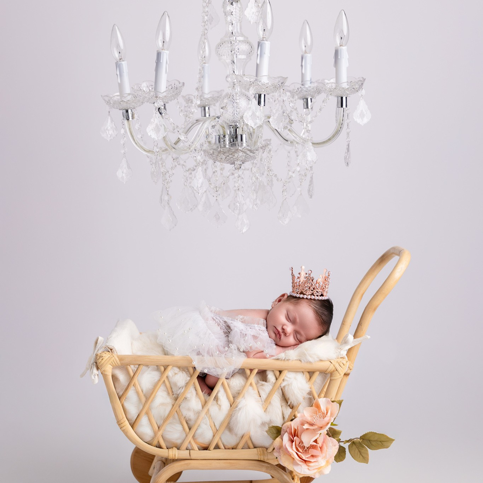 Athena Newborn Photoshoot