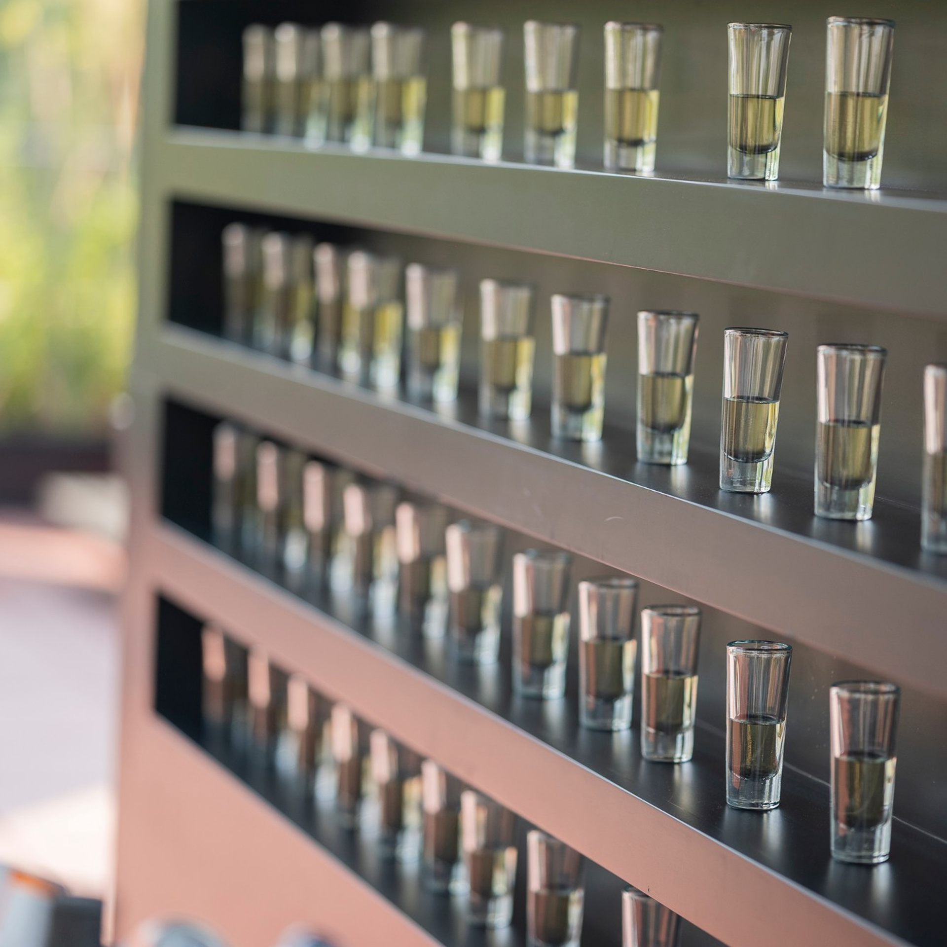 Testimonios. Fotógrafo de eventos en Cuidad de Mexico Dasha Shchukova