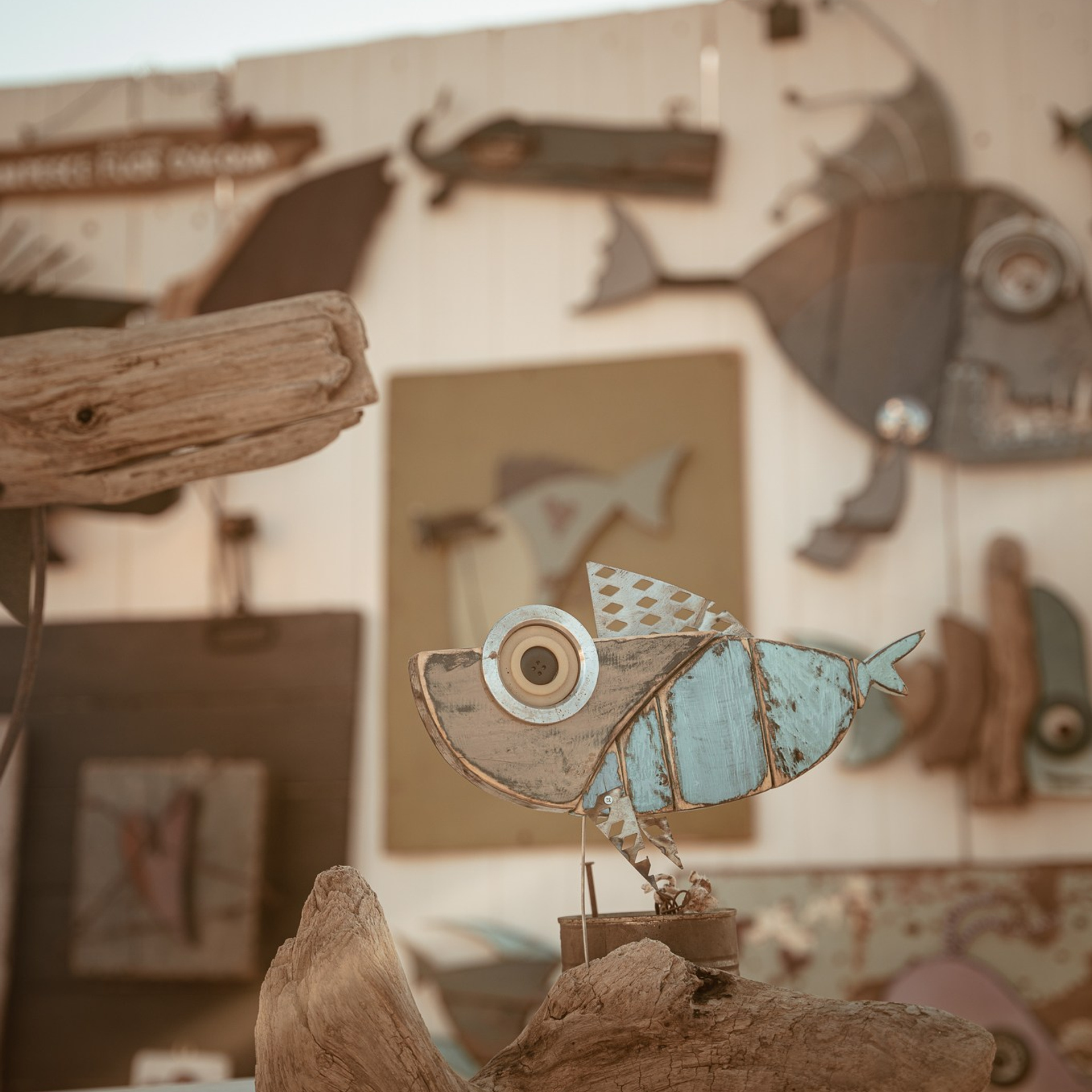 Aziende, Ristoranti e altro. Fotografo di famiglia, neonati, maternity, ritratti, matrimoni, cerimonie, Rimini