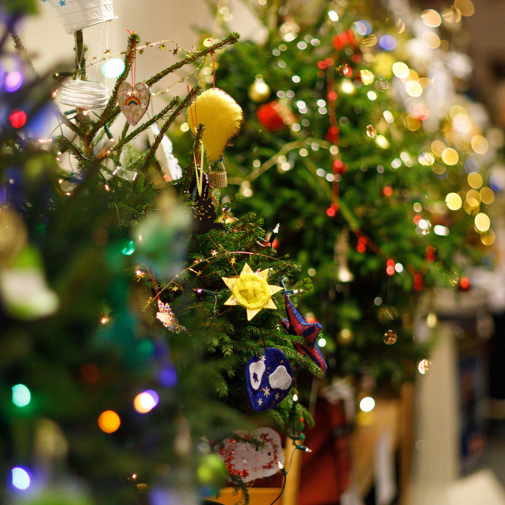 Testimonials. Wedding & family photographer in Dorset, England. Nataliia Honcharenko