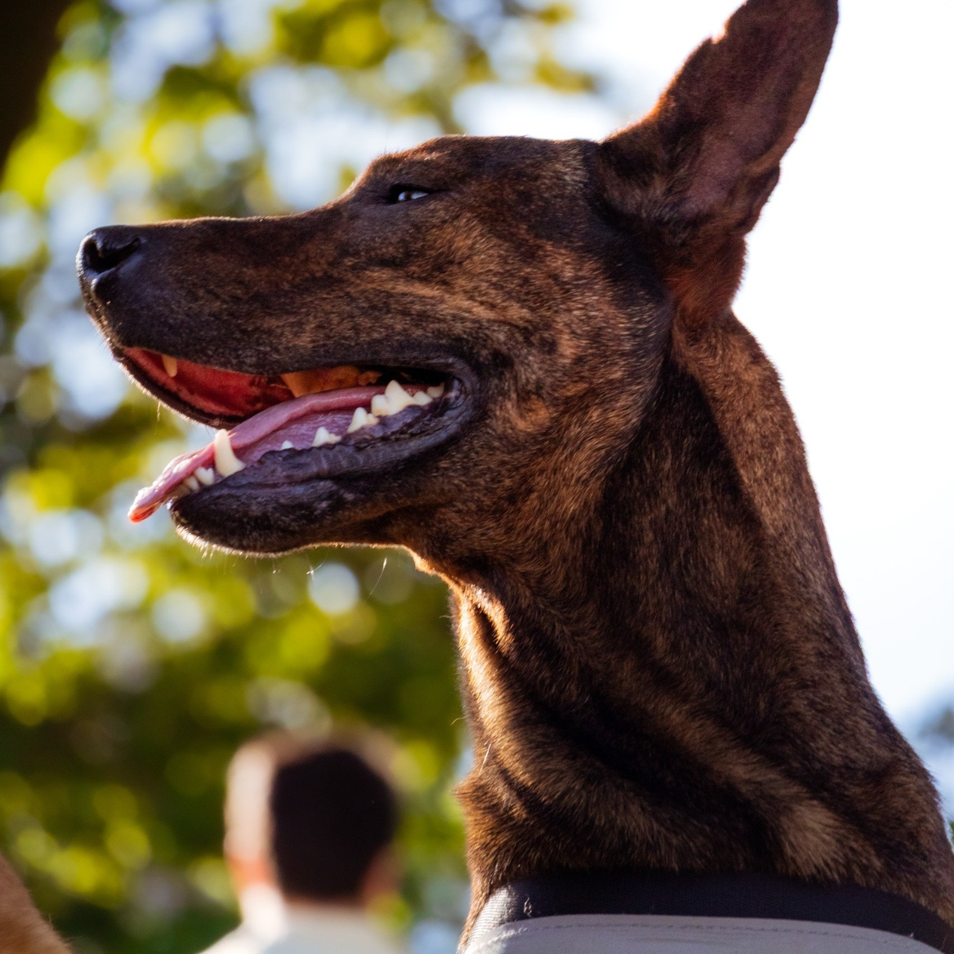 Testemunhos. DGallery | Fotógrafo de Eventos, Pets e Bebés no Porto