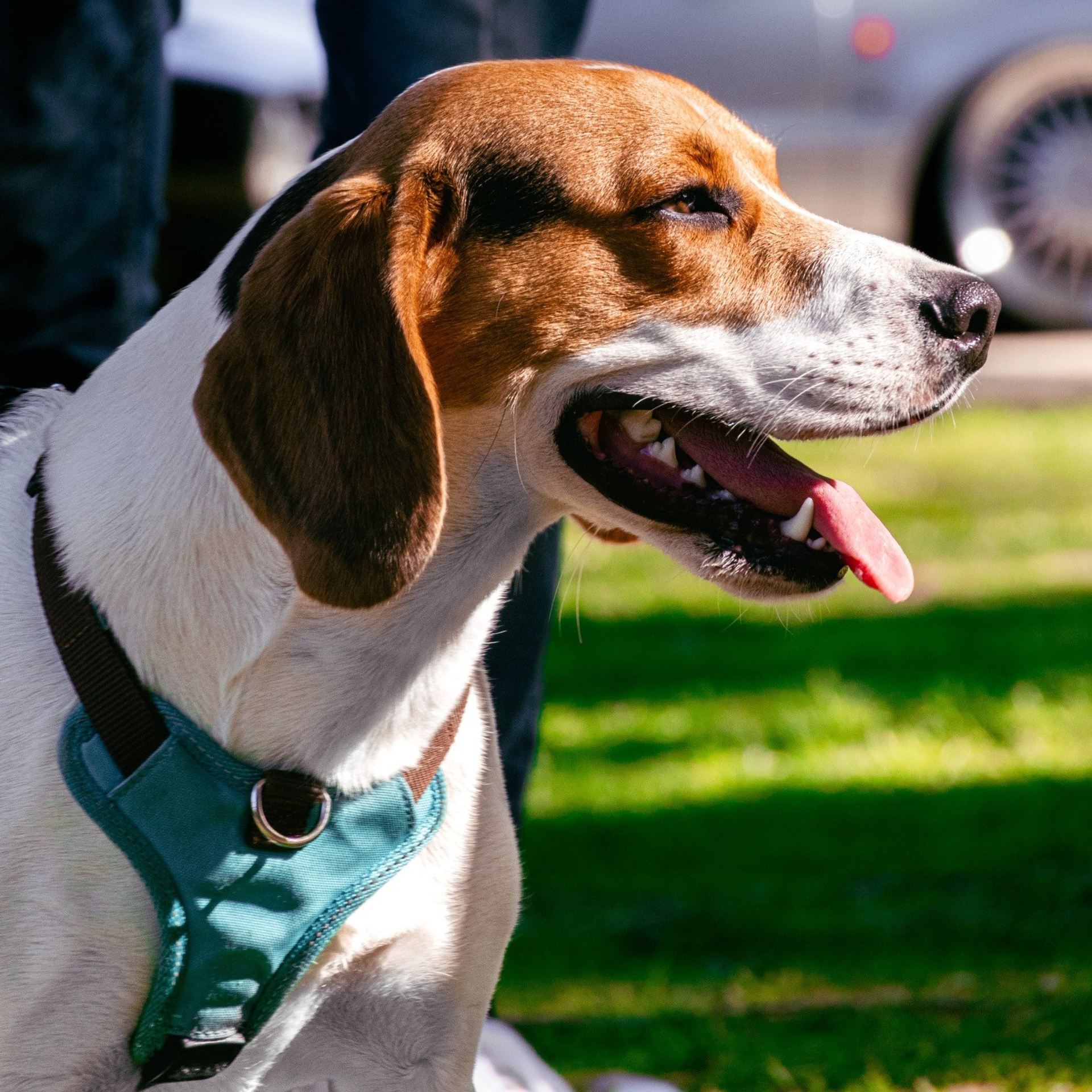 Testemunhos. DGallery | Fotógrafo de Eventos, Pets e Bebés no Porto