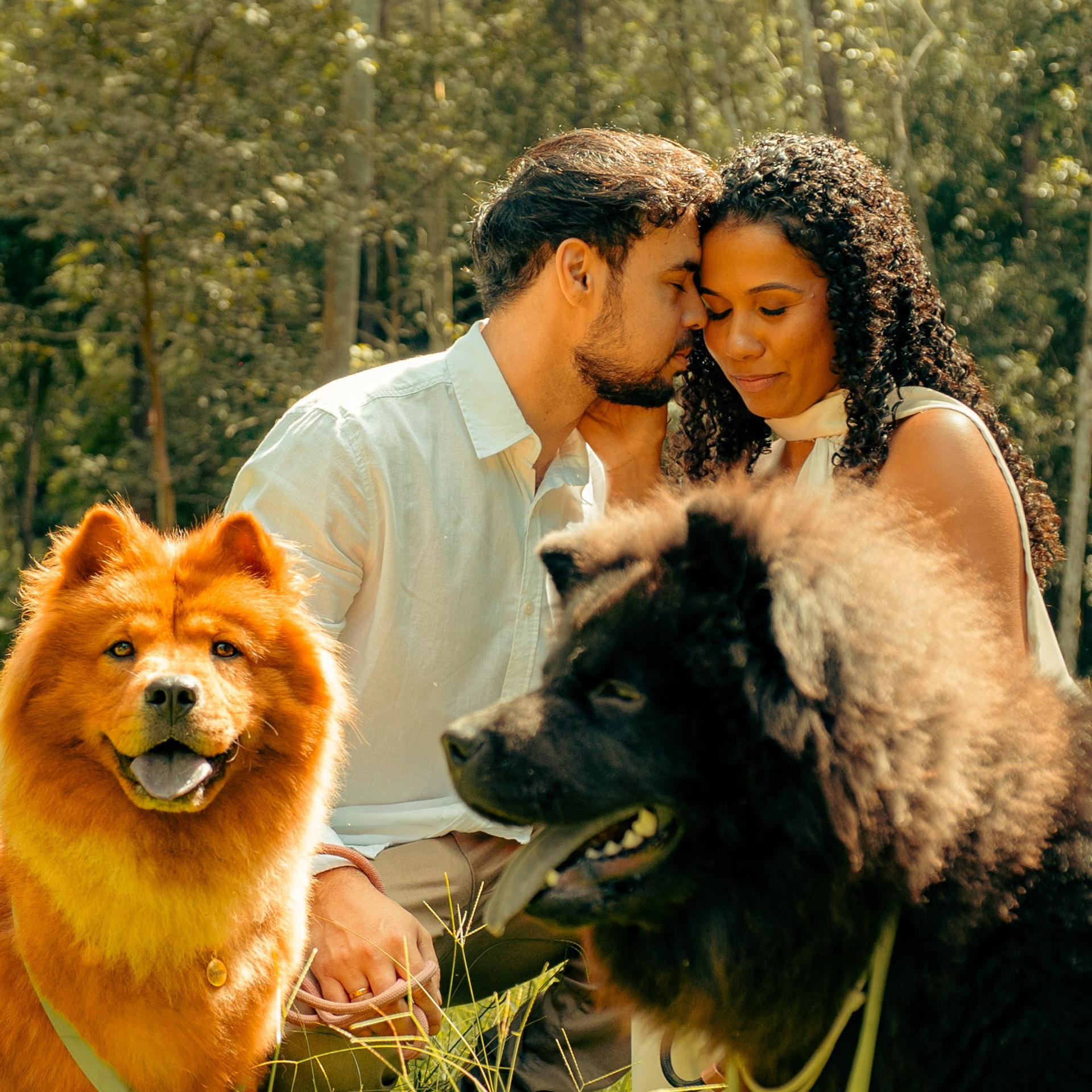 Pré-Wedding com pets