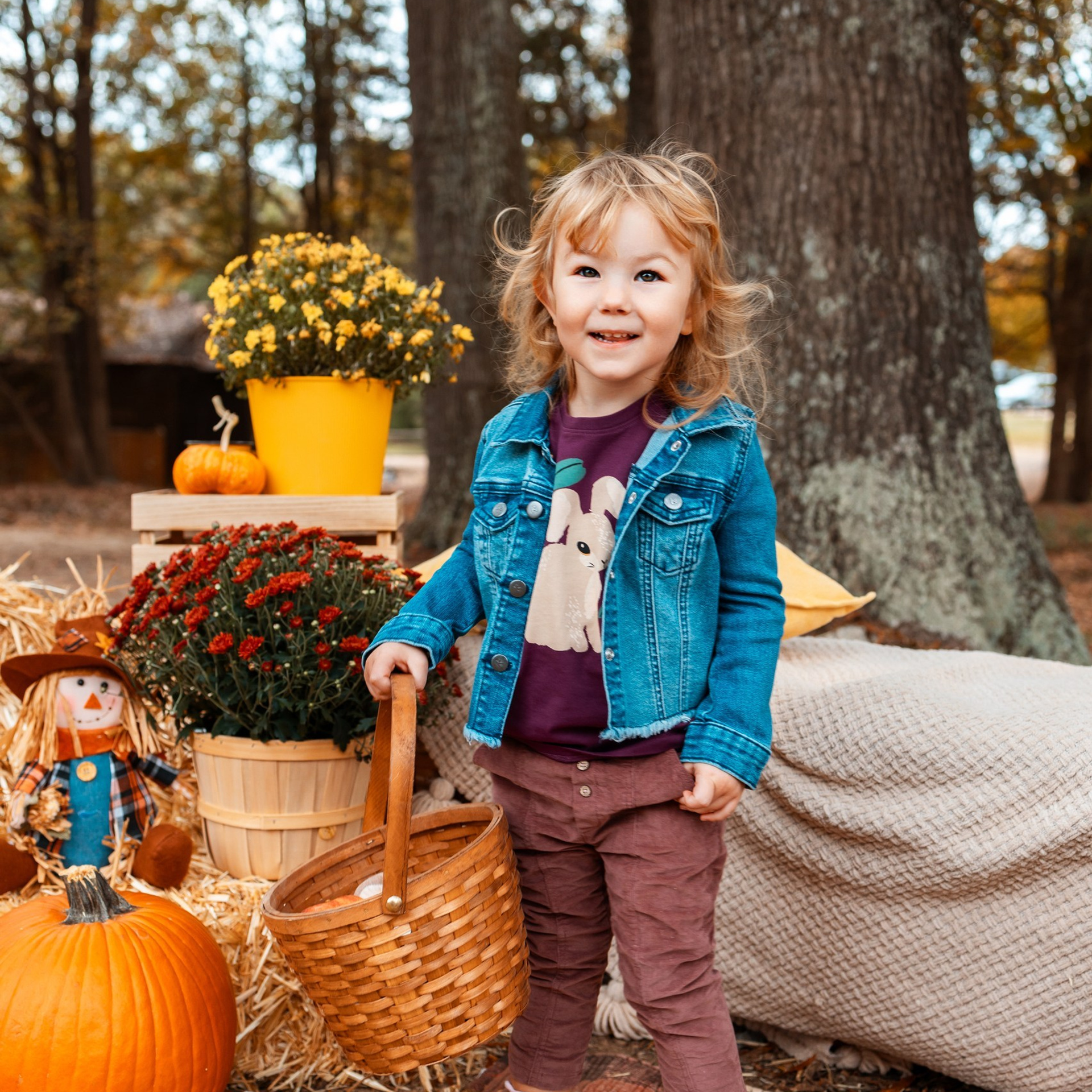 Testimonials. Anaeliseevaphoto.com