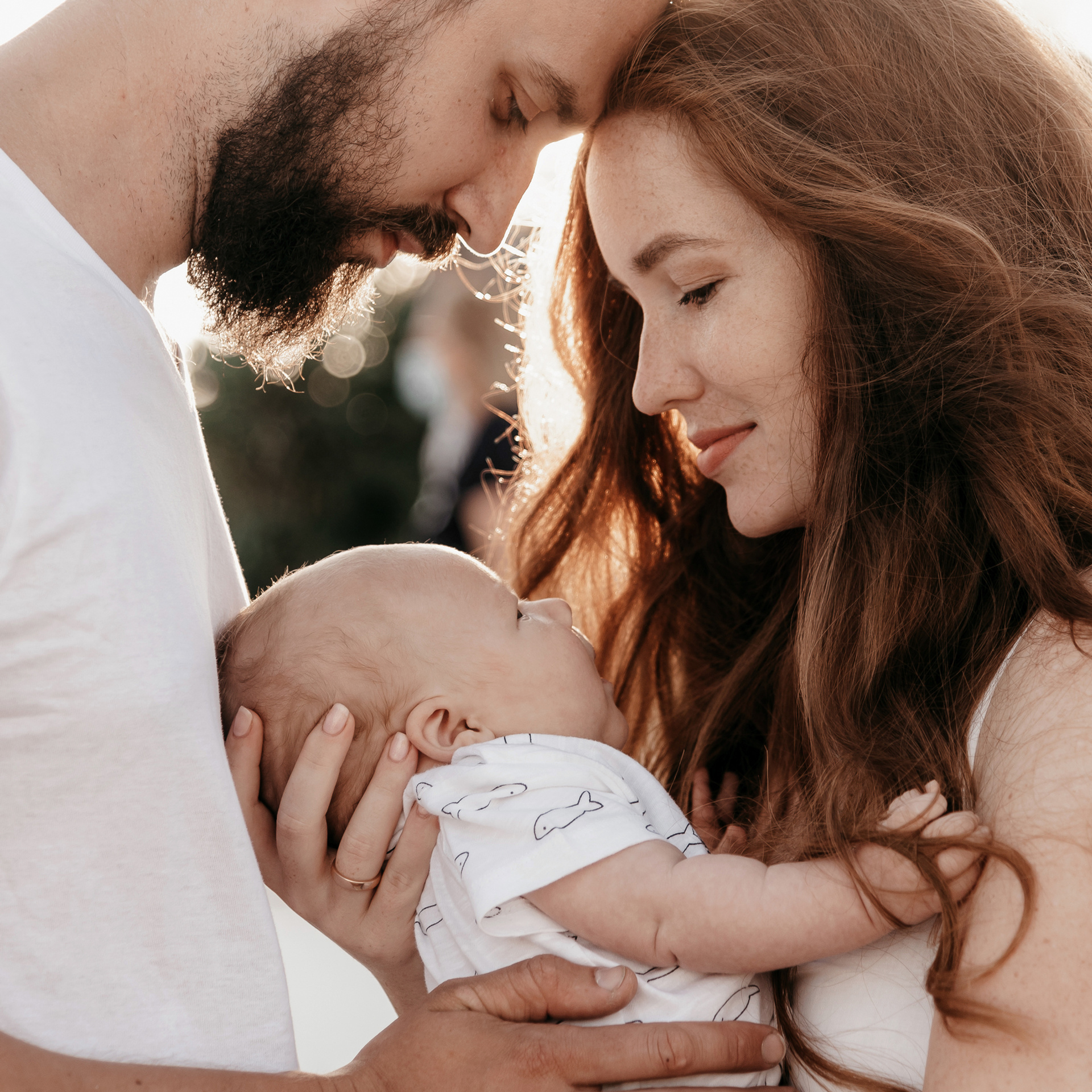 Reviews of the work of photographer Andrey Lukovnikov — Alicante, Torrevieja