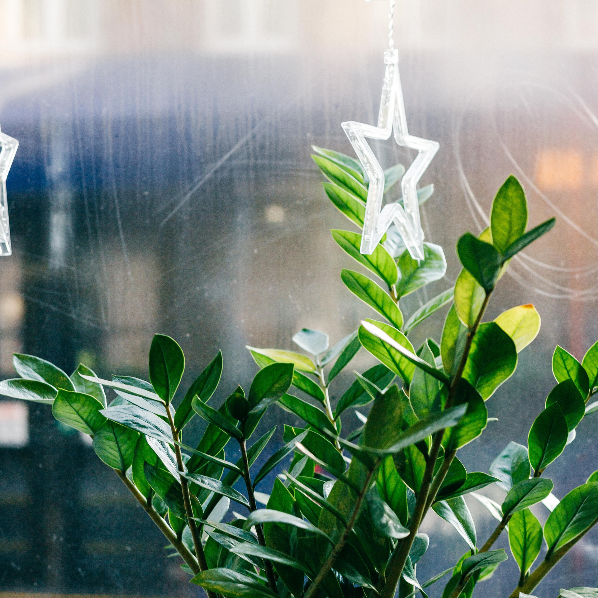 Отзывы. Фотограф и видеограф во Вроцлаве