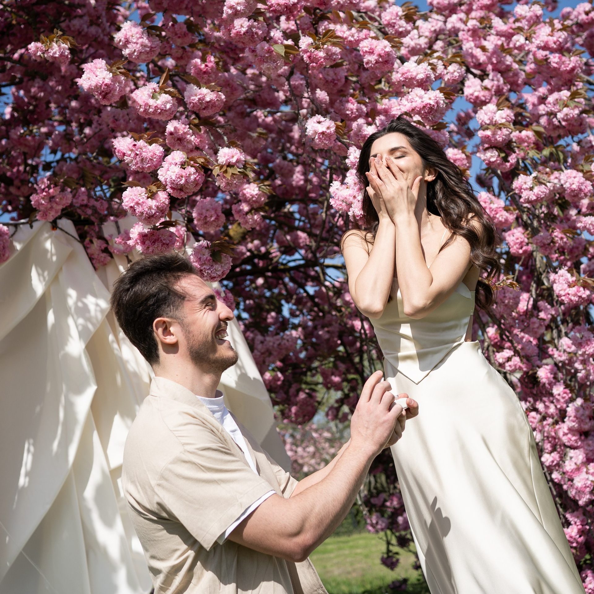 Proposal in Milan