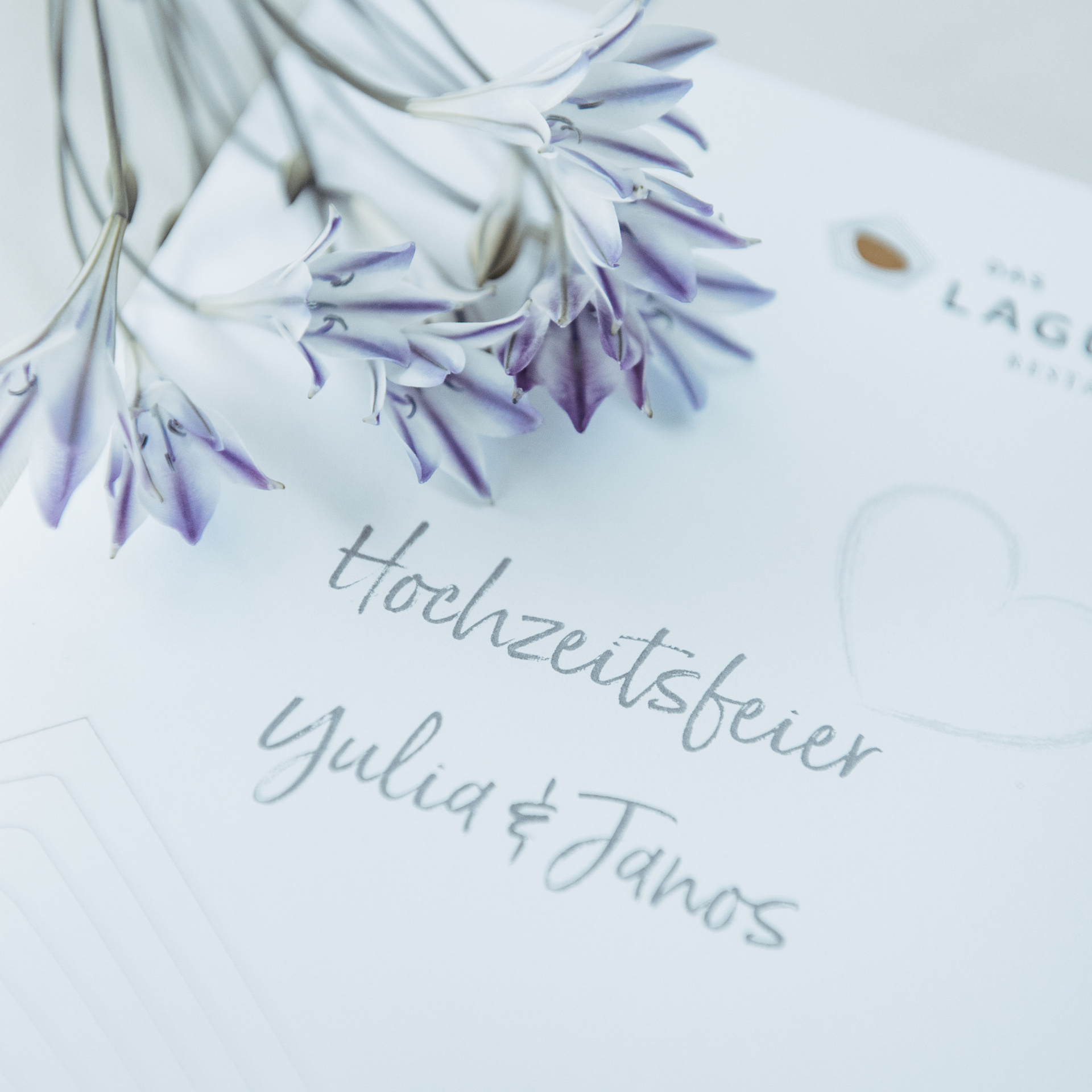 Feedback. Photographer in Vienna Ksenia Kogler