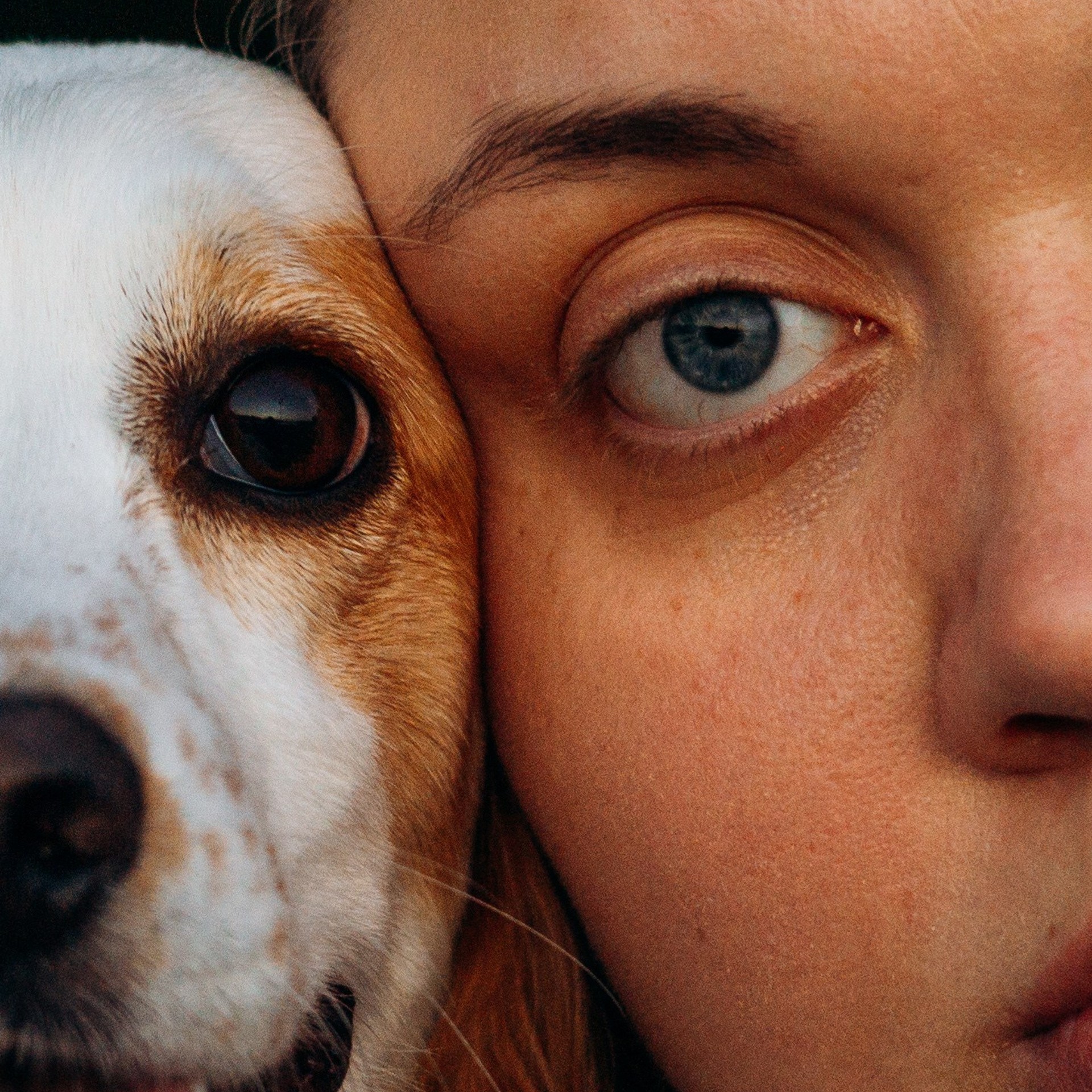 Отзывы. Фотограф-анималист | Белград