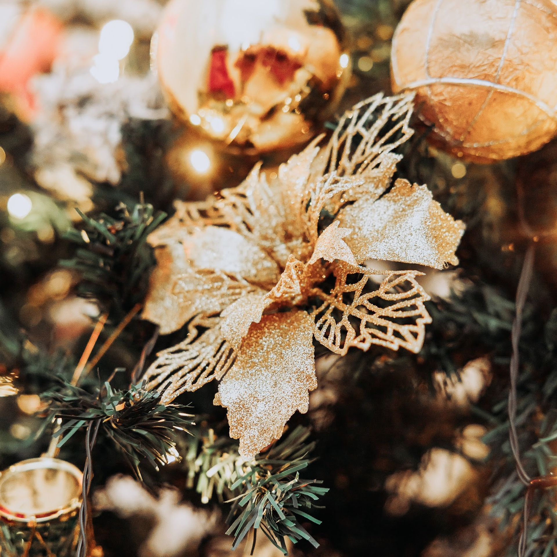 Guitare & cello paracelsus duo. Photographe à Paris