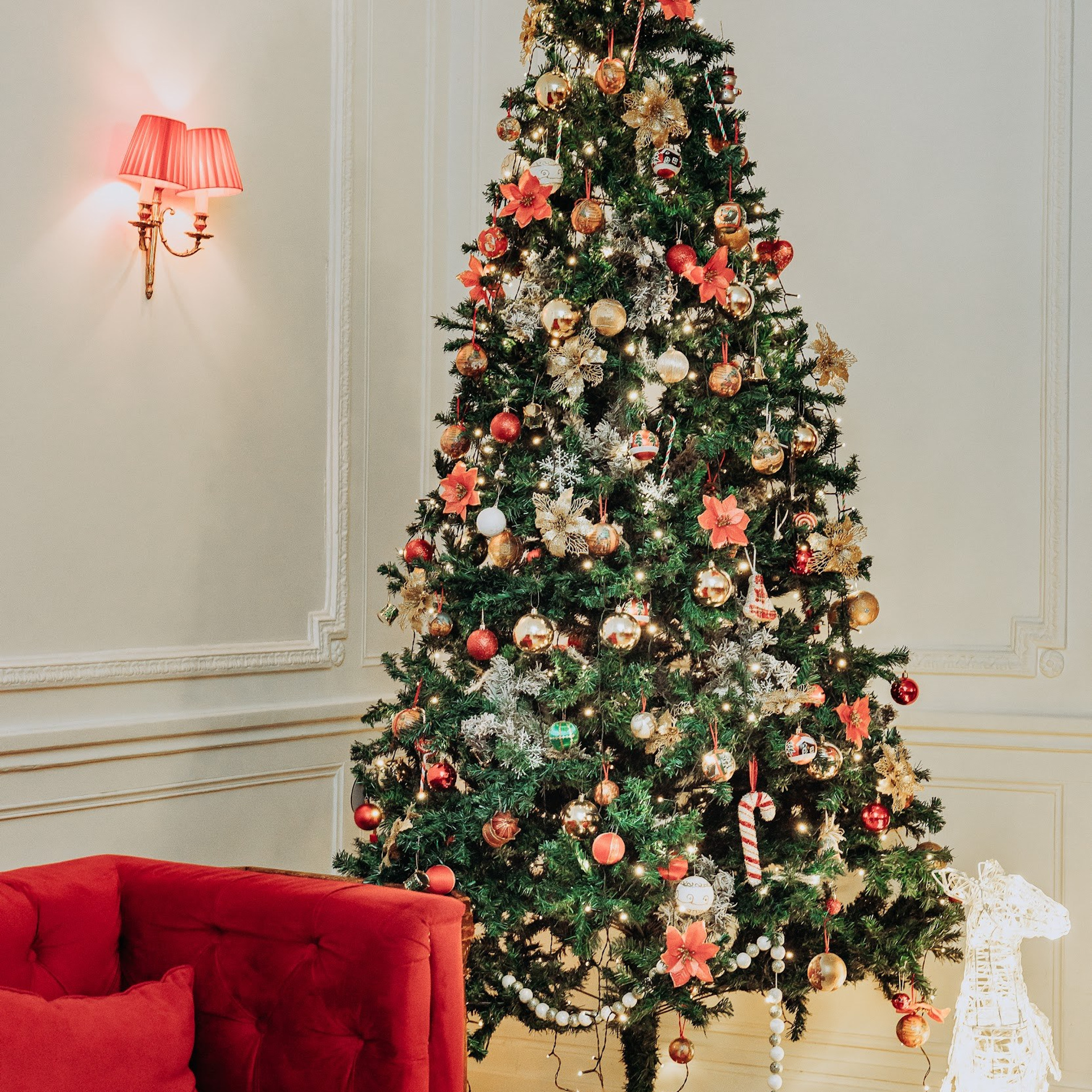 Guitare & cello paracelsus duo. Photographe à Paris