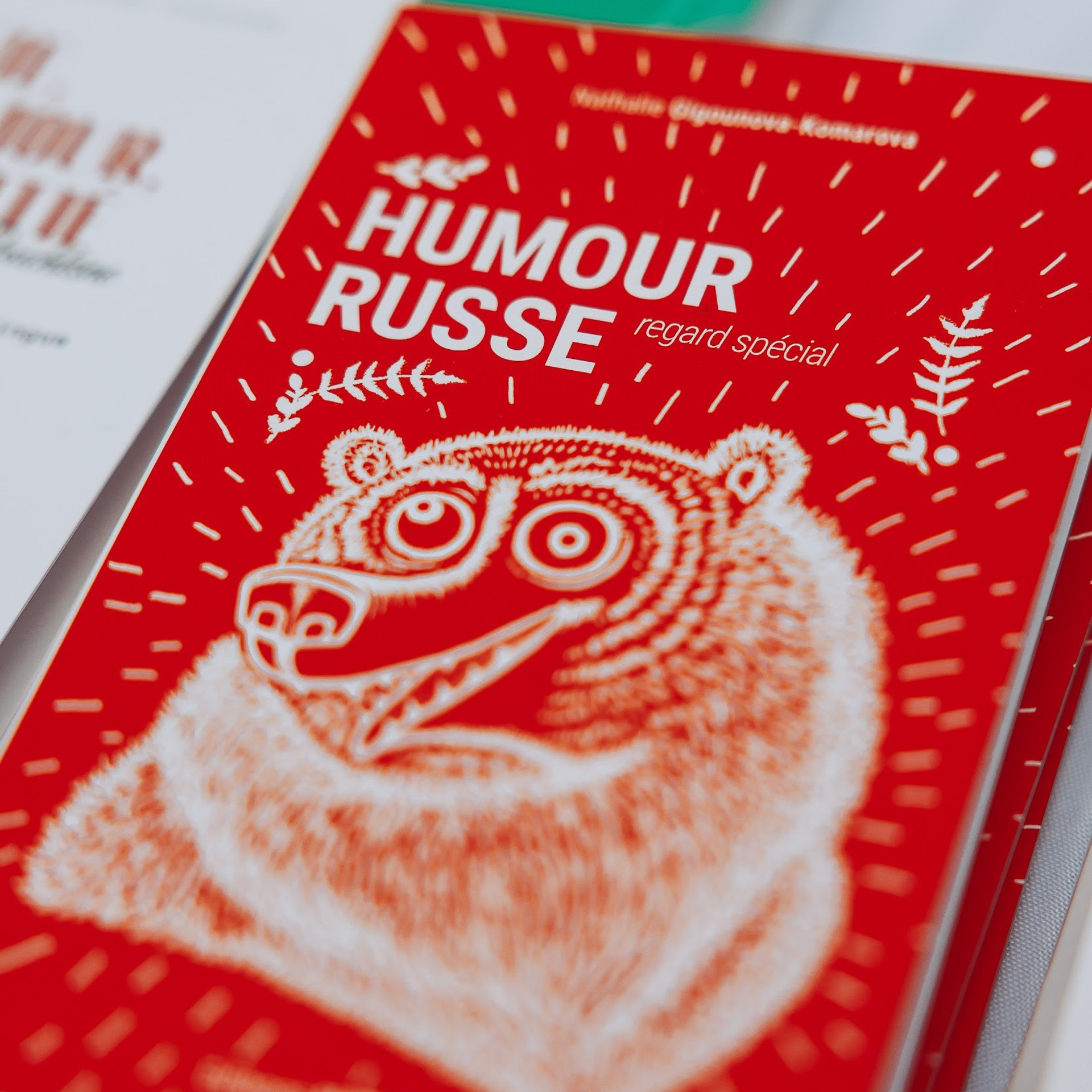 Un marché de Noël. Photographe à Paris