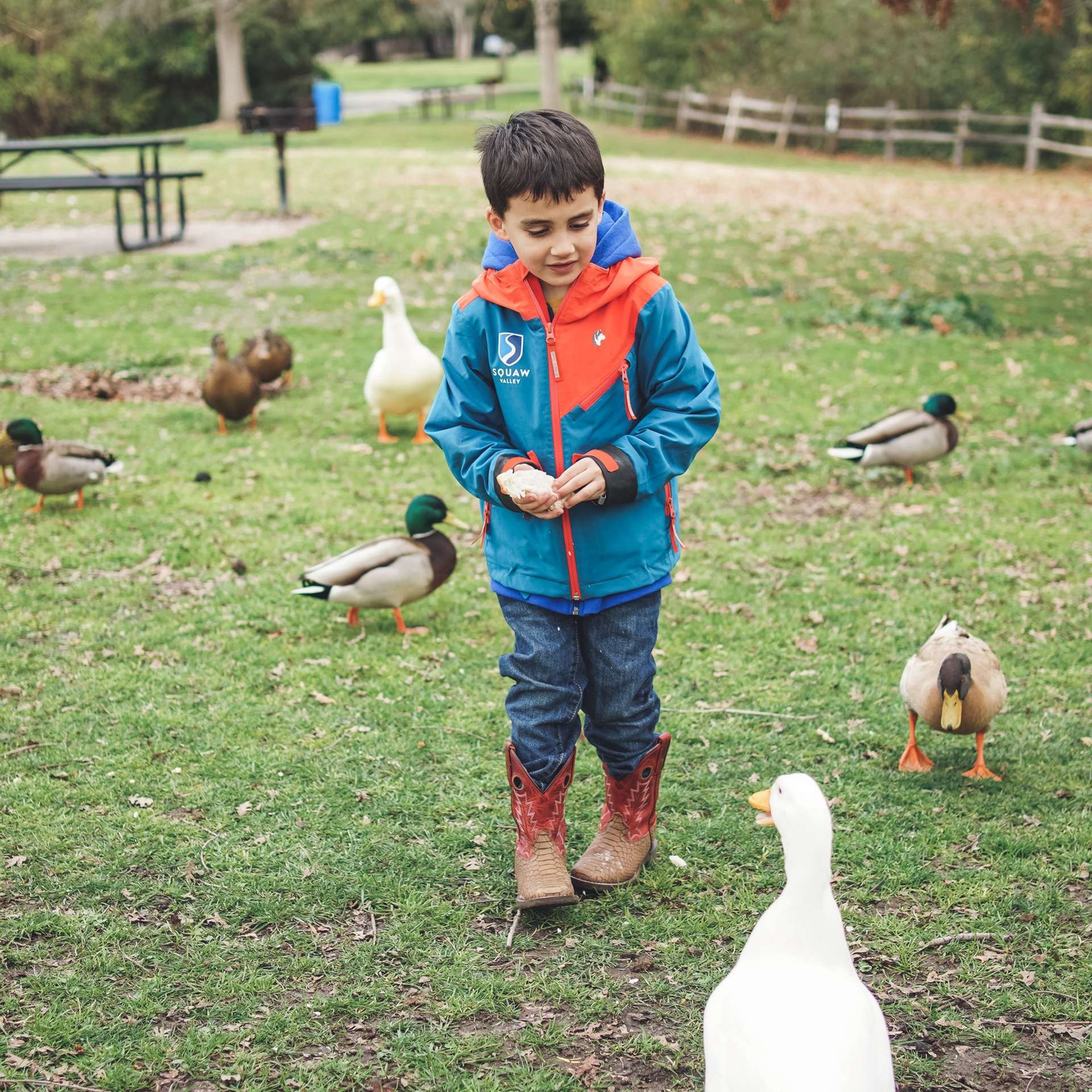 Feedback. Sacramento Photographer — Olga Maltseva based in California