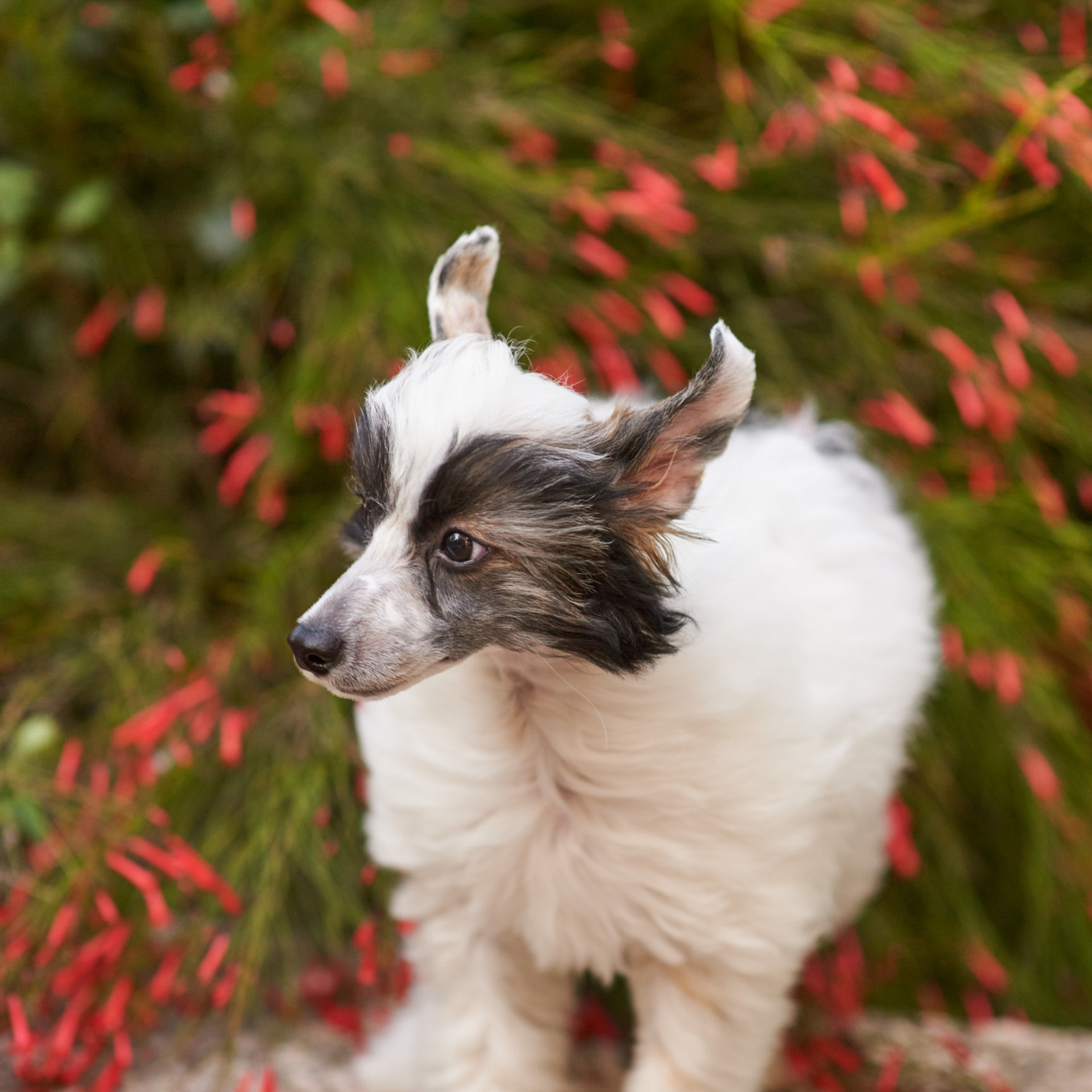 Отзывы. Семейный и детский фотограф в Израиле Ольга Тюрина