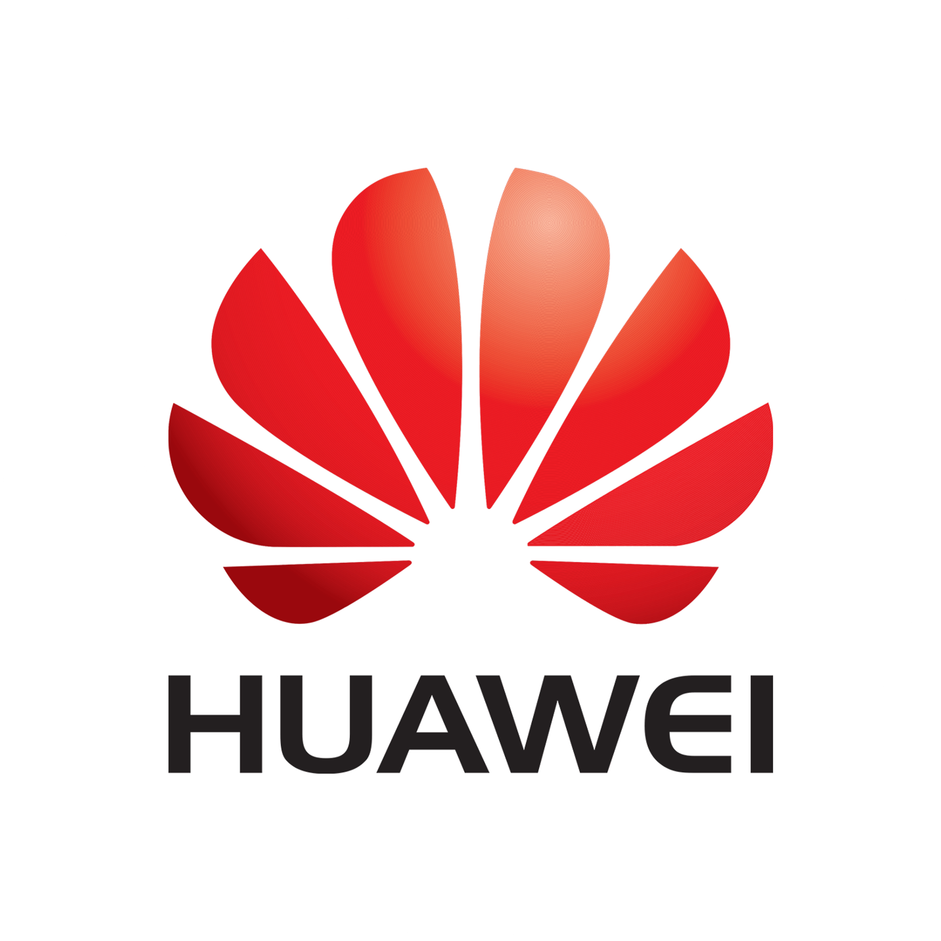 CLIENTS. Wedding&Event photographer Ismail Rzayev in Baku