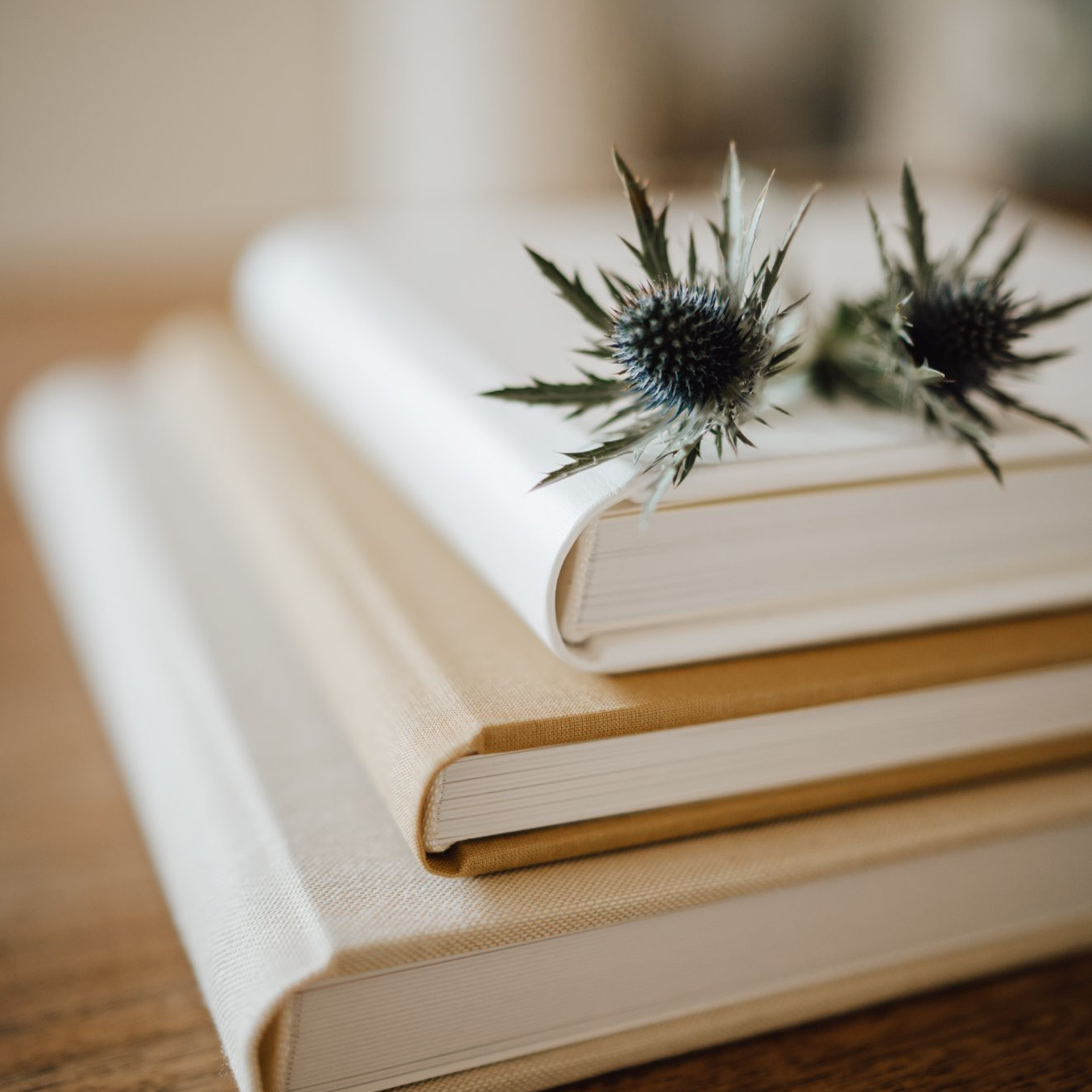 Īsta kāzu ģimenes fotogrāmata - roku darbs