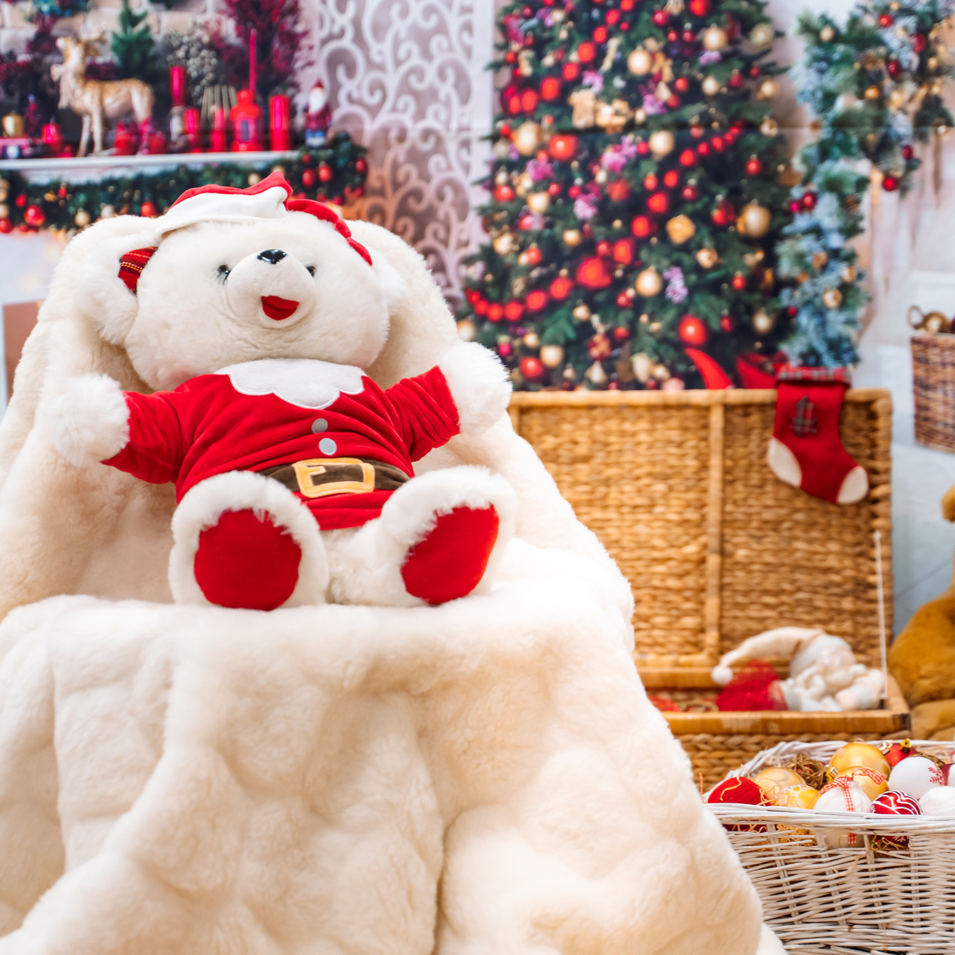 Feedback. Fotografa em Portugal Alexandra Efimova