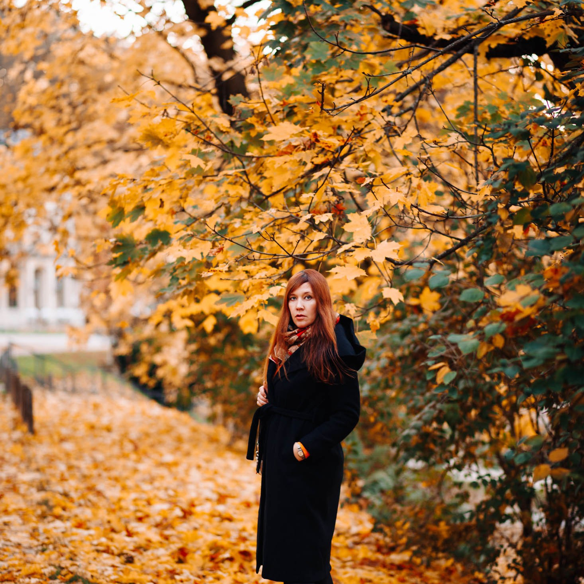 Testimonials. Photographer in Prague for tourists