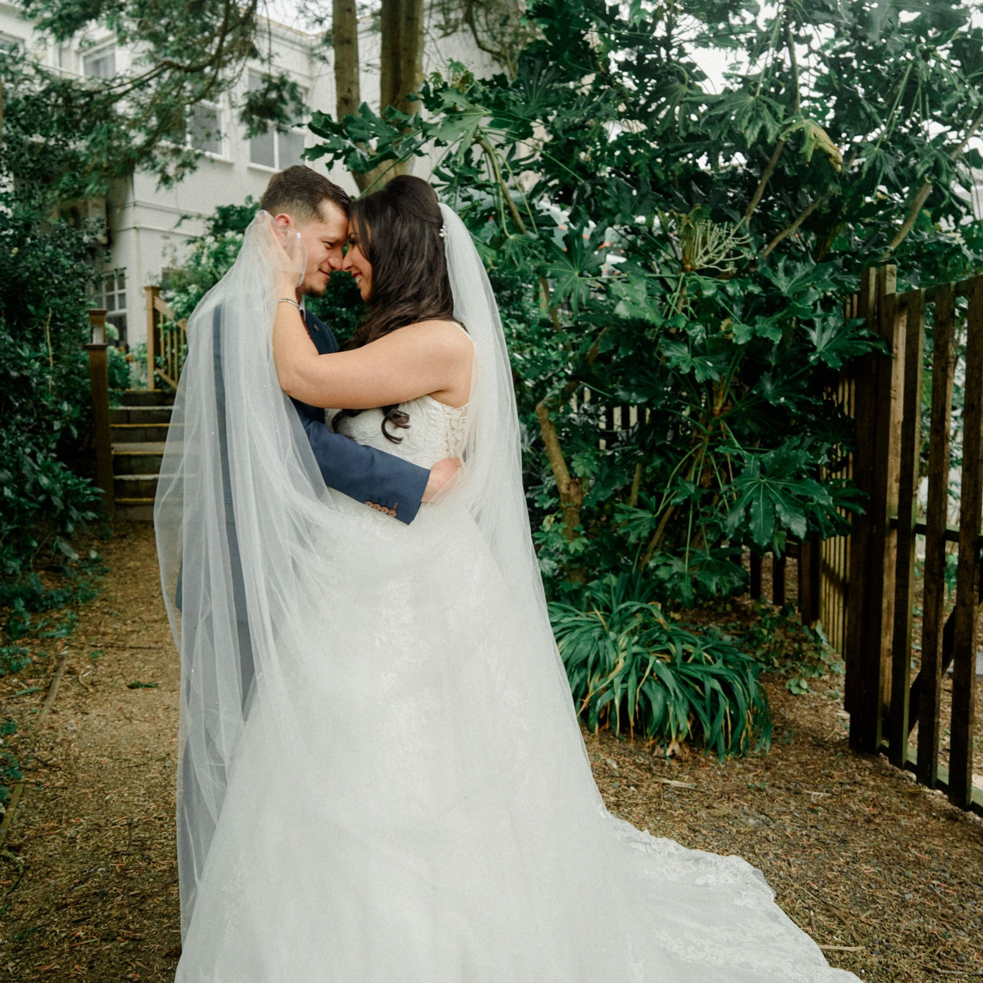 Testimonials. Wedding and family photographer Ireland
