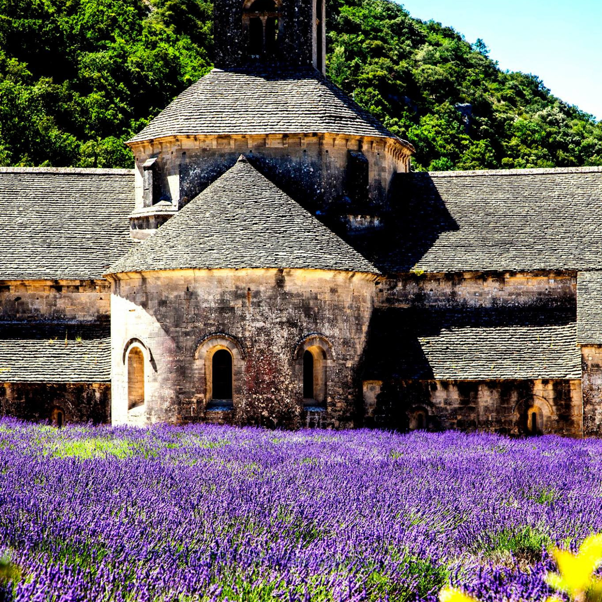 46.France 4/7-8/7/2018. Klášteru Sénanque.