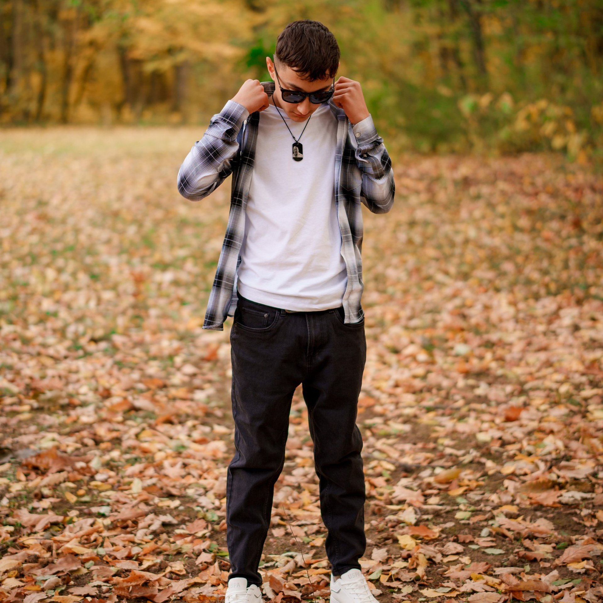 Recenzii. Trendy Albums