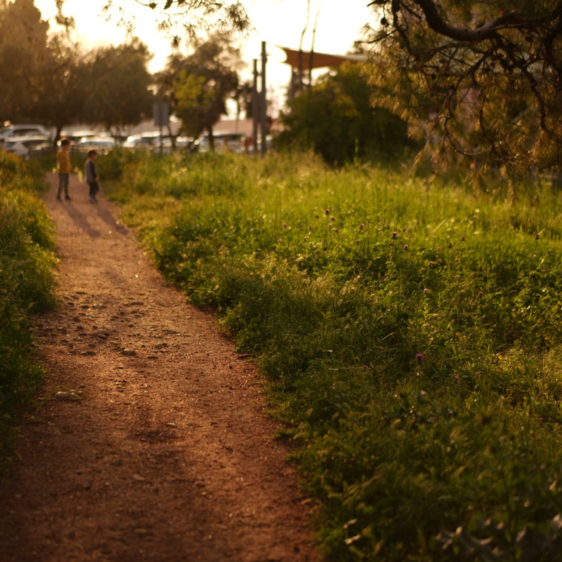Городские фотосессии в Хайфе: Урбанистические пейзажи