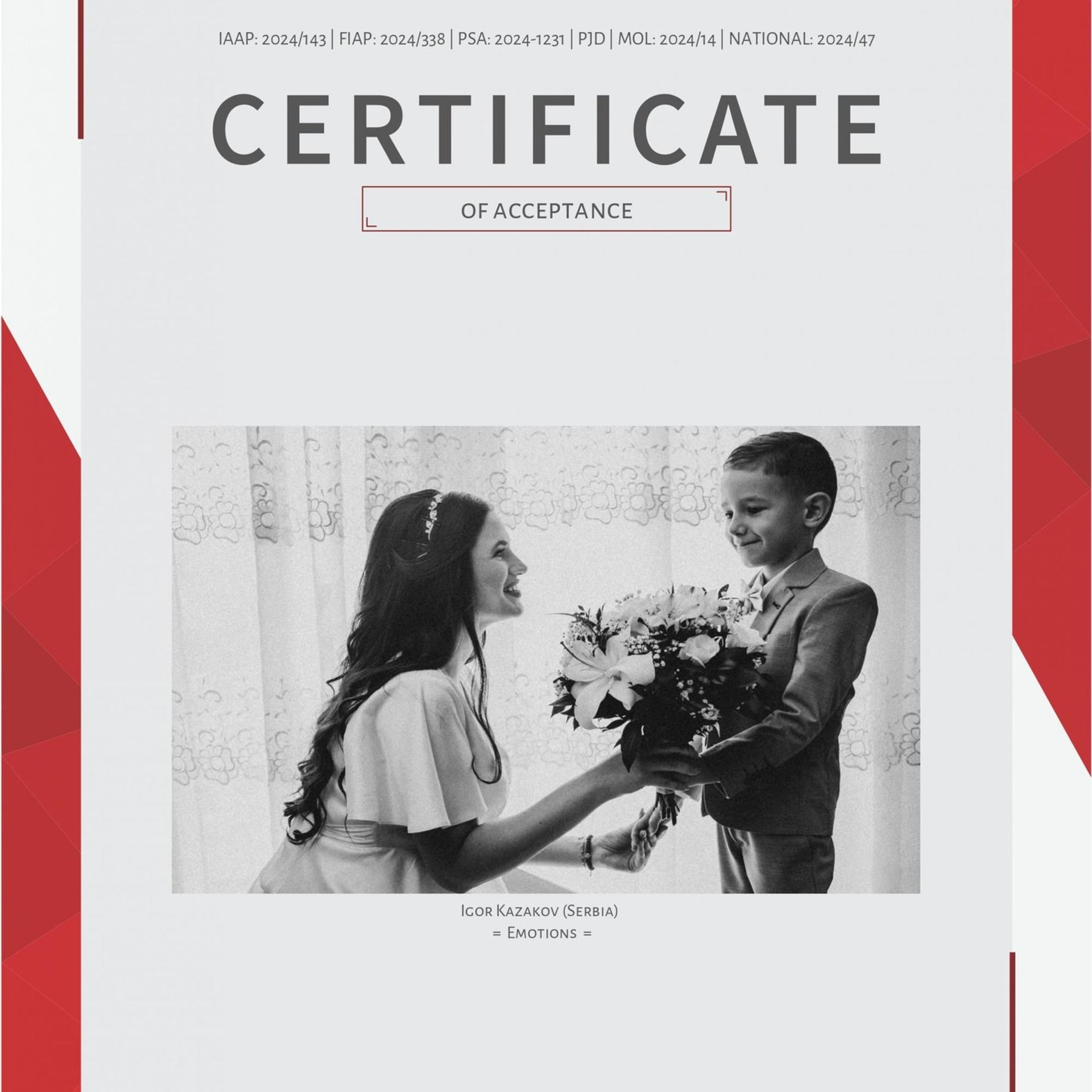 Fotograf Pančevo – Igor Kazakov. Kazakov Photo