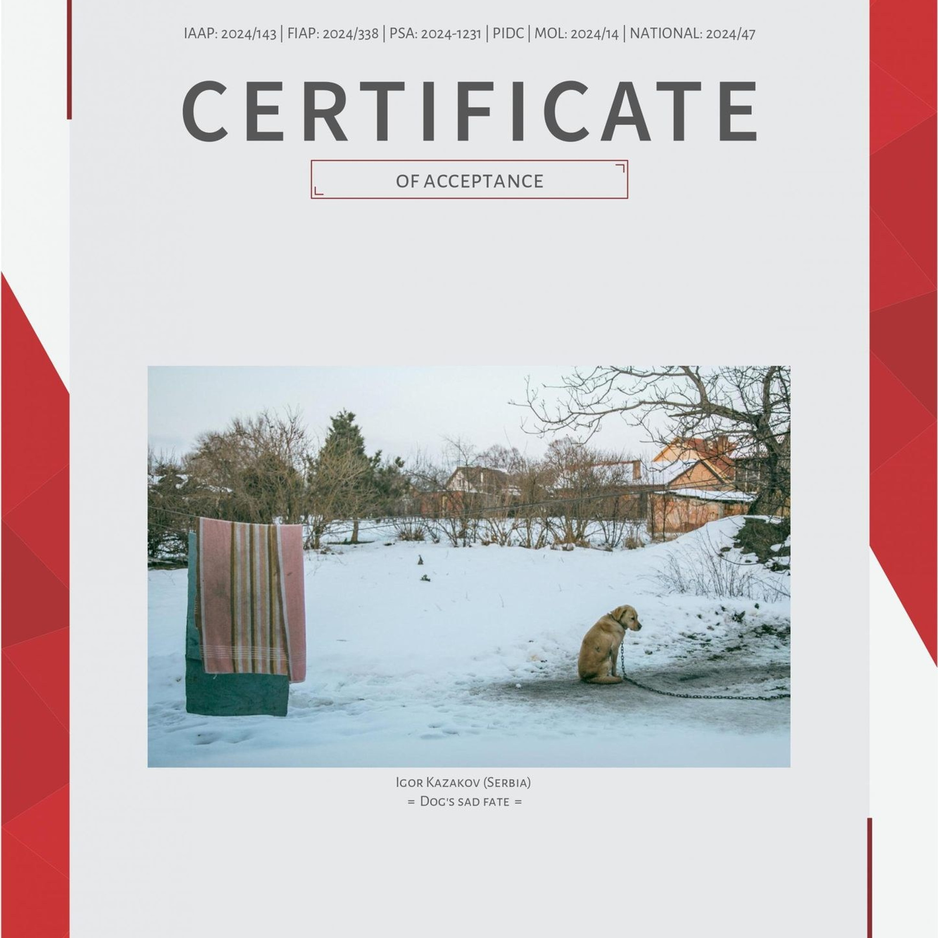 Fotograf Pančevo – Igor Kazakov. Kazakov Photo