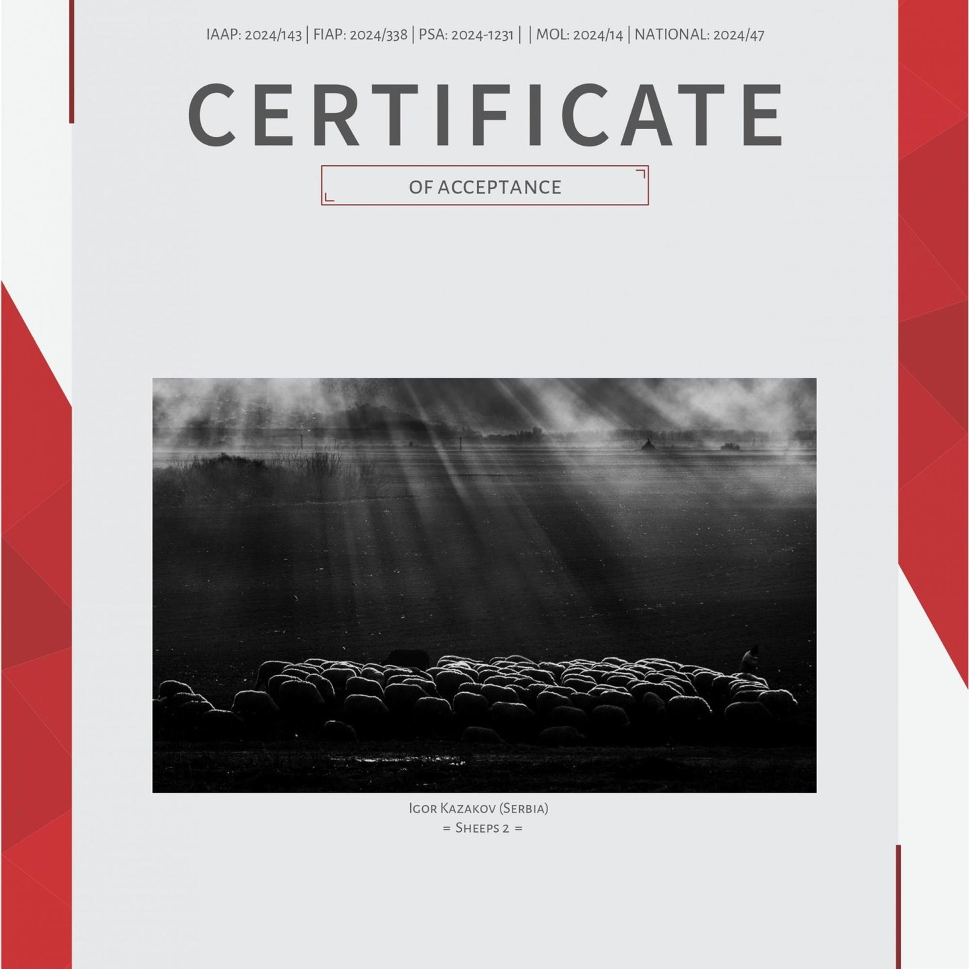 Fotograf Pančevo – Igor Kazakov. Kazakov Photo