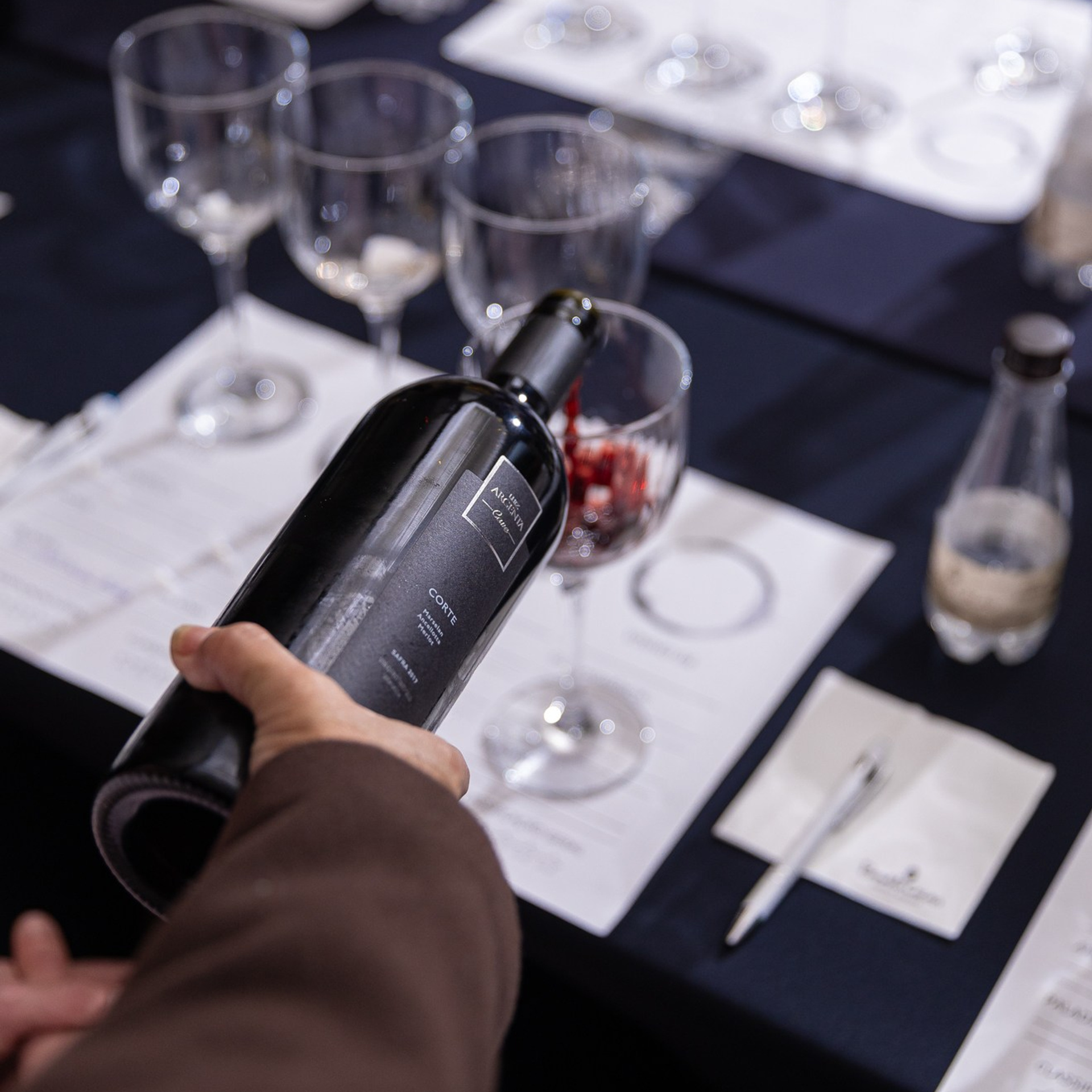 Experiência de vinhos