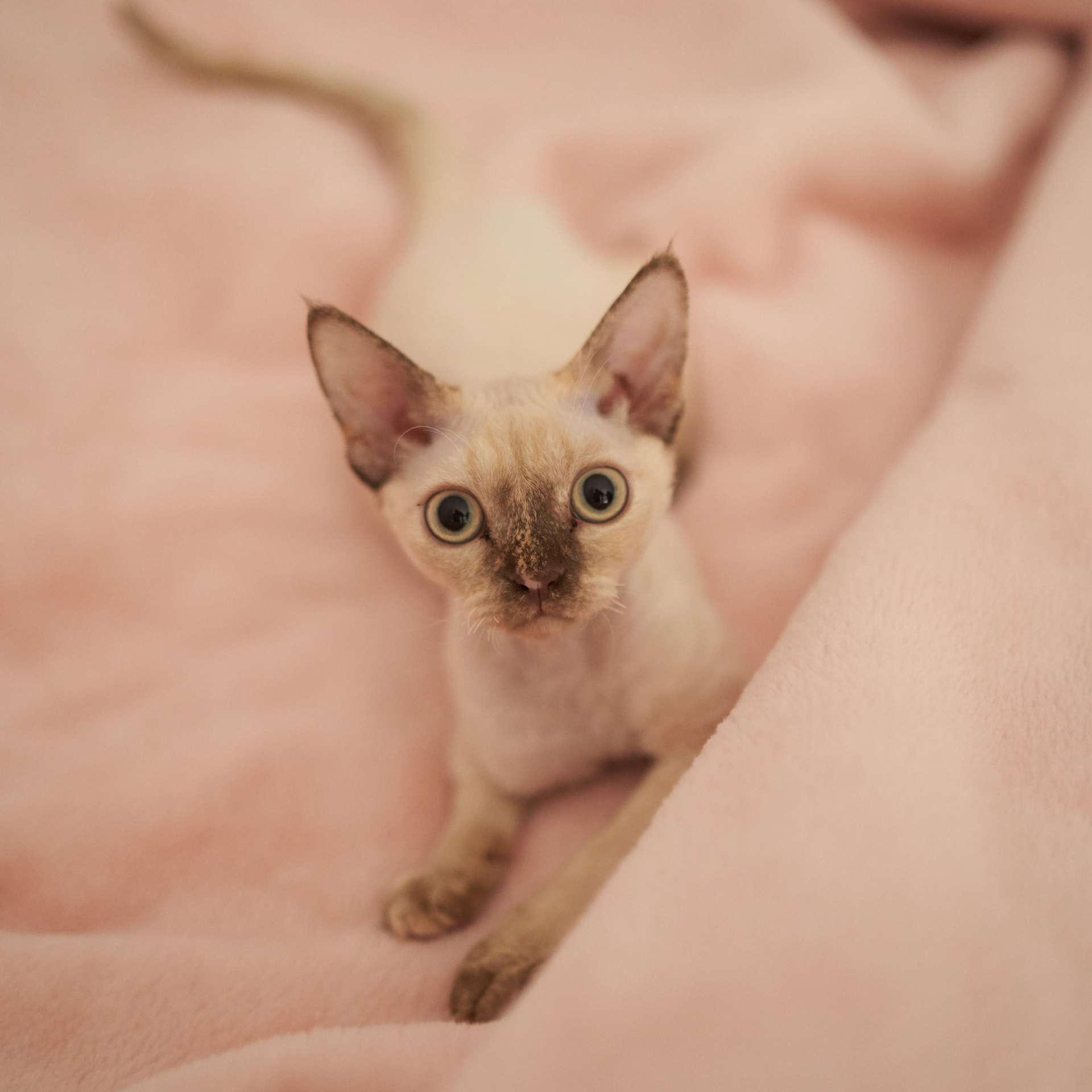 Отзывы. Youdusha.com