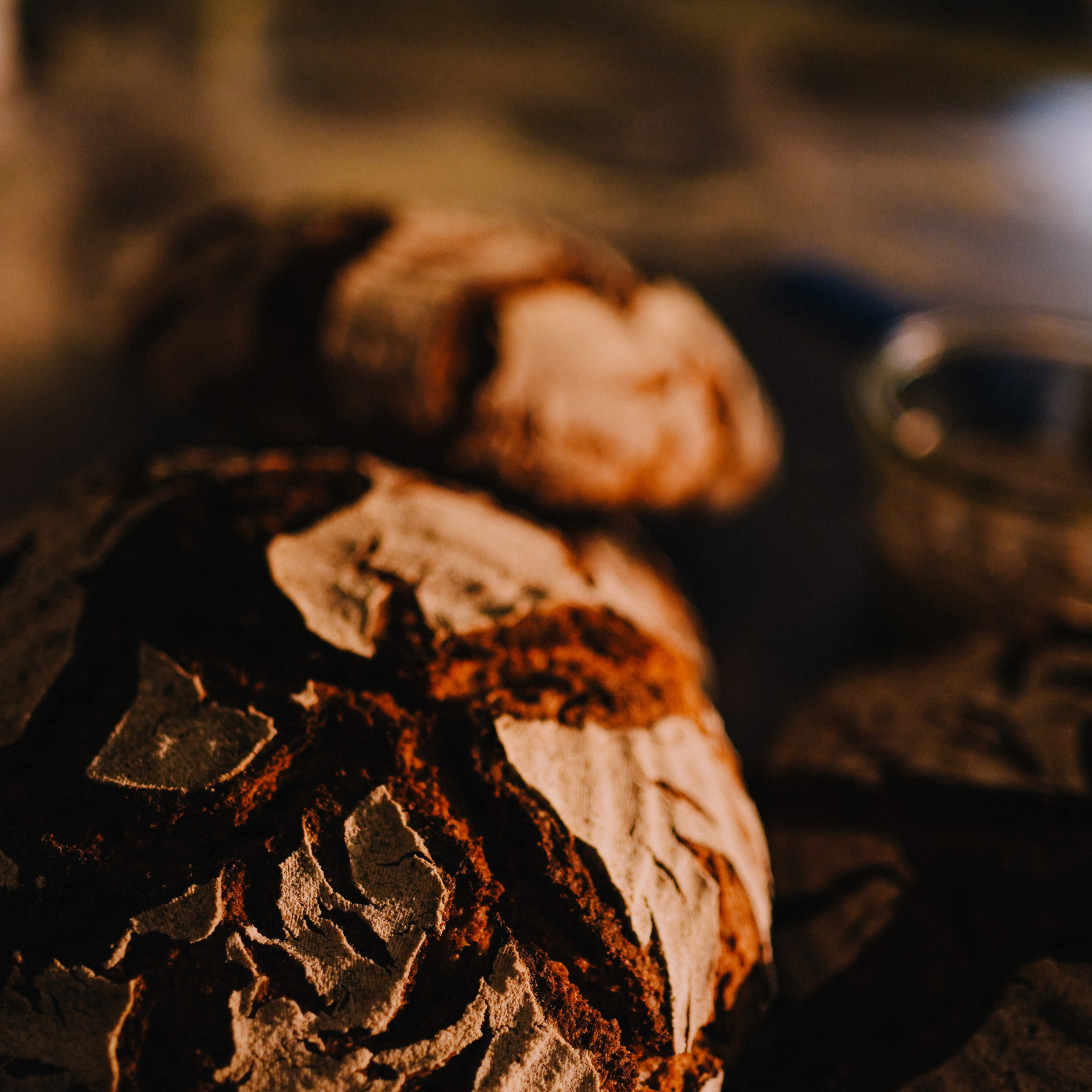 Testimonials. Julia Pelikánová | Portrait and content photographer in Prague