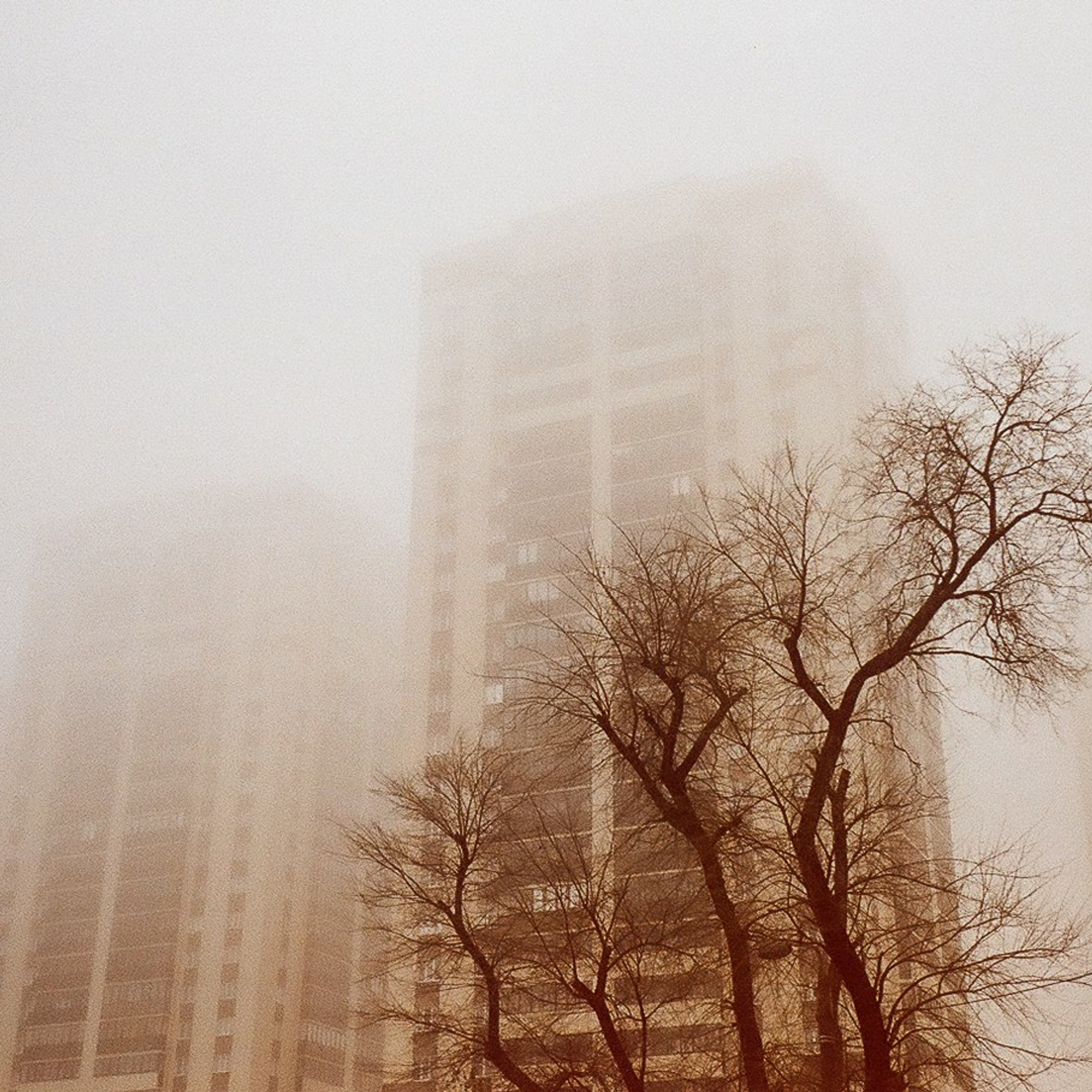 Онлайн курс проектной фотографии Karass Lab. Stanislava Novgorodtseva — Photographer | Visual Artist | Educator