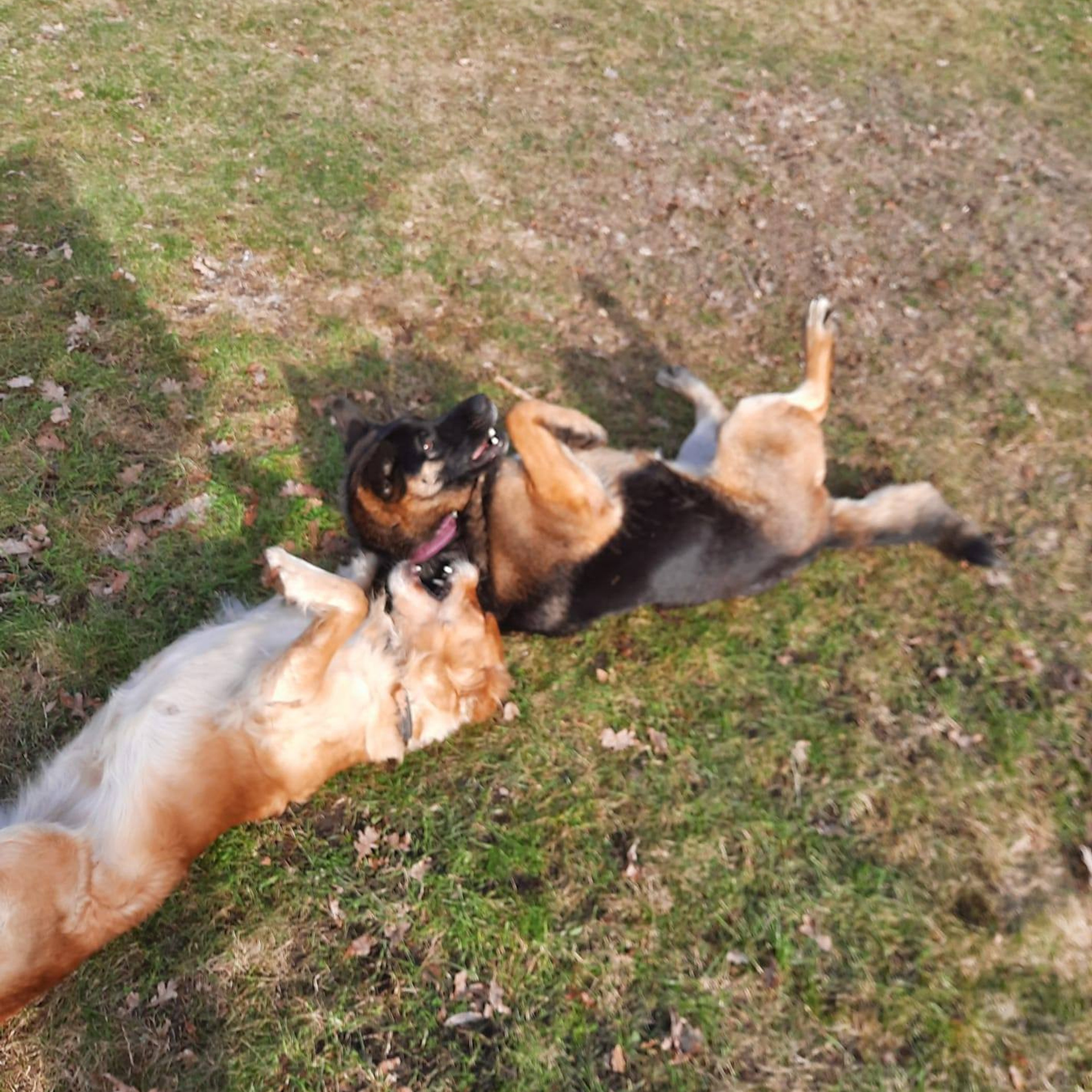 Comments. Art photography. Events. Family photo