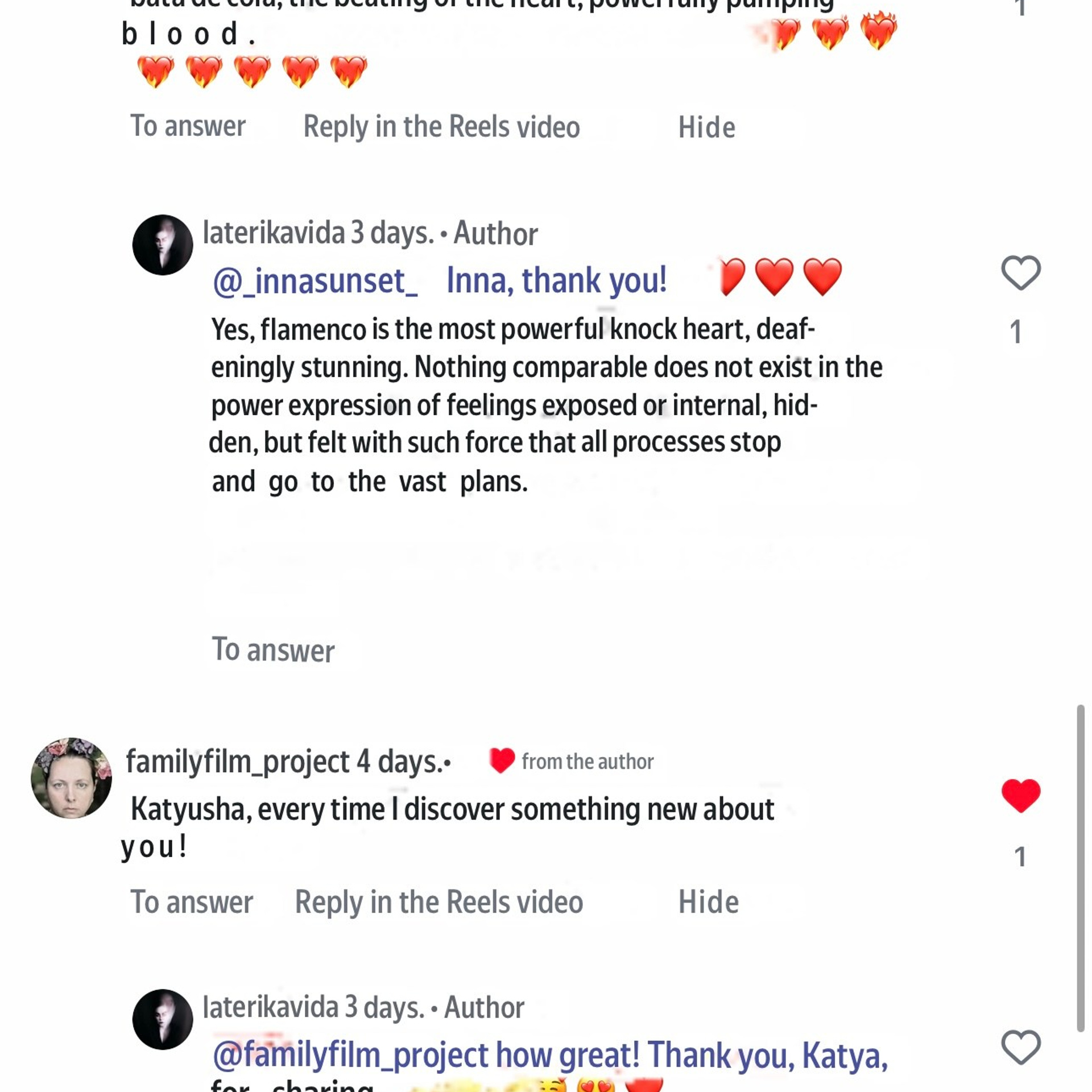 Flamenco rhythm. Dedicated to Olga Samoylova and the art of flamenco in general. Ekaterina Tsurkina-Appina Photography Canada