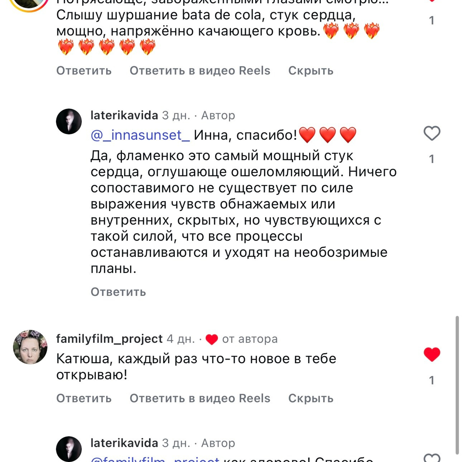 Flamenco rhythm. Dedicated to Olga Samoylova and the art of flamenco in general. Ekaterina Tsurkina-Appina Photography Canada