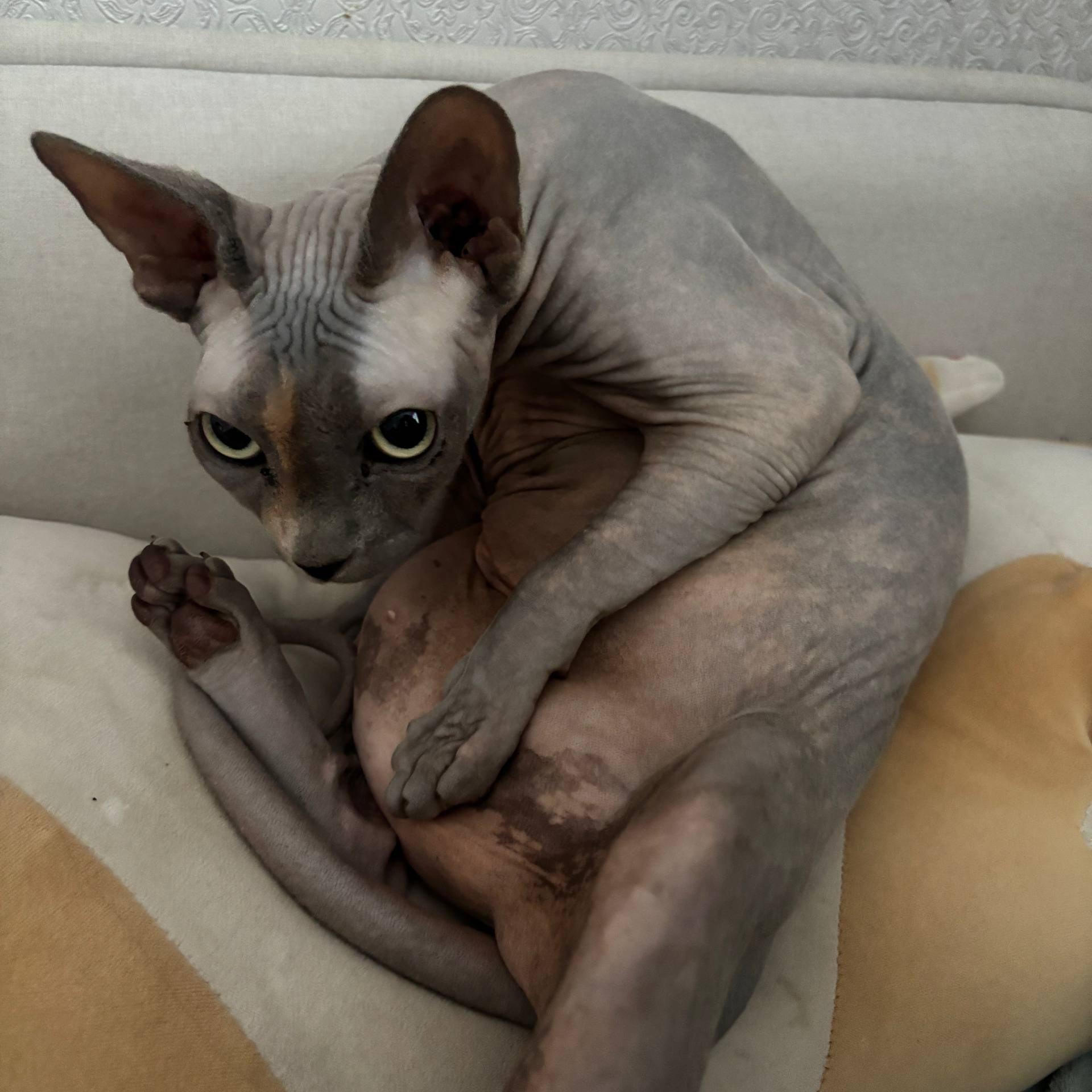 Доска прослезившихся