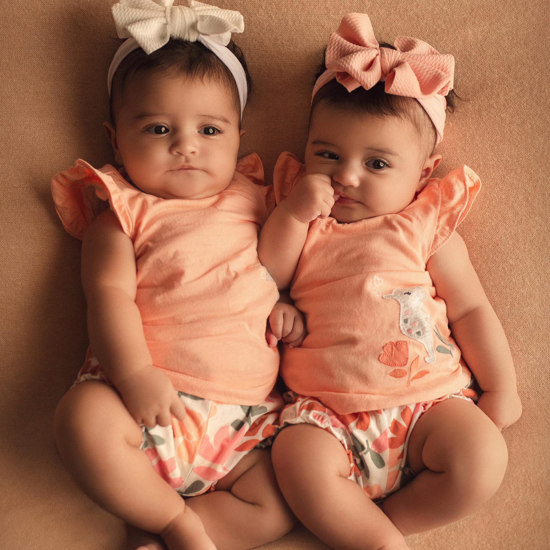 Testimonials. Ottawa Newborn and Baby Newborn Photographer Elena Helali