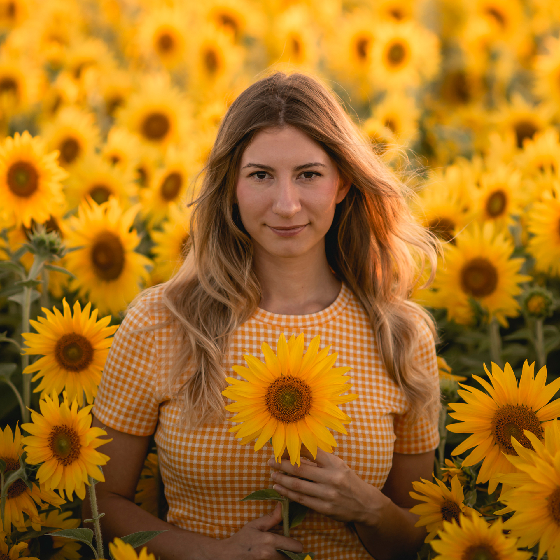 Testimonials. Ottawa Newborn and Baby Newborn Photographer Elena Helali