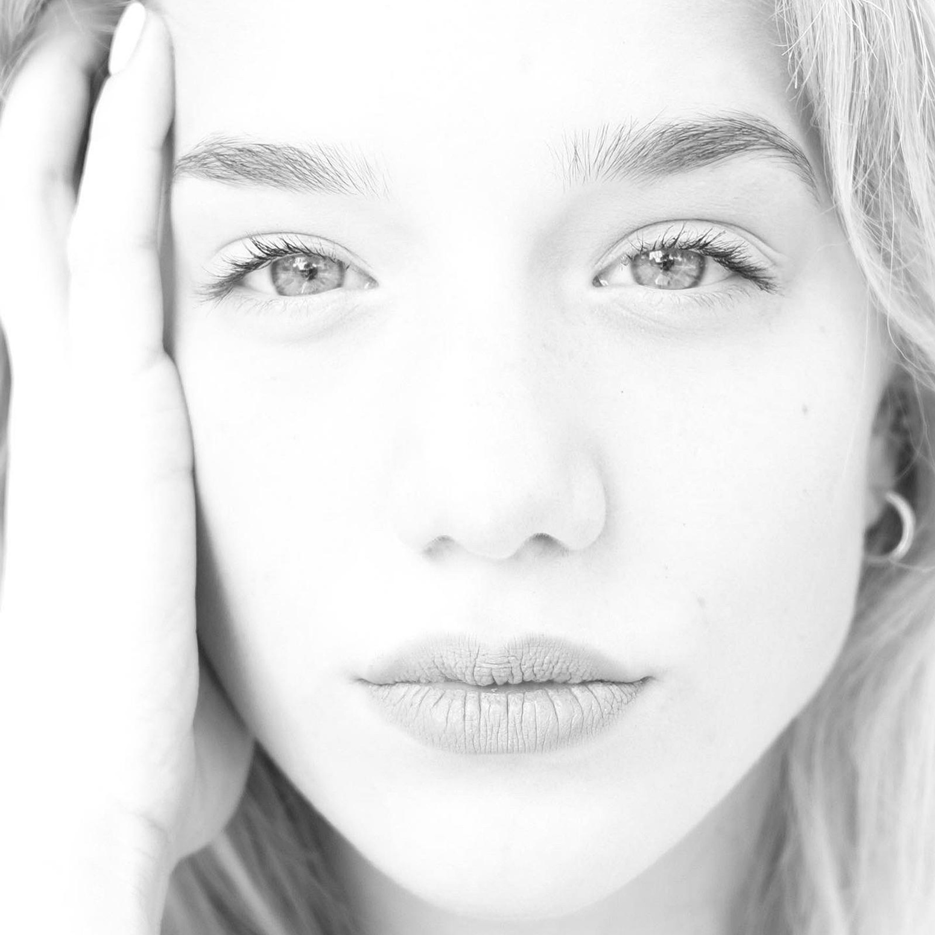 პორტრეტი