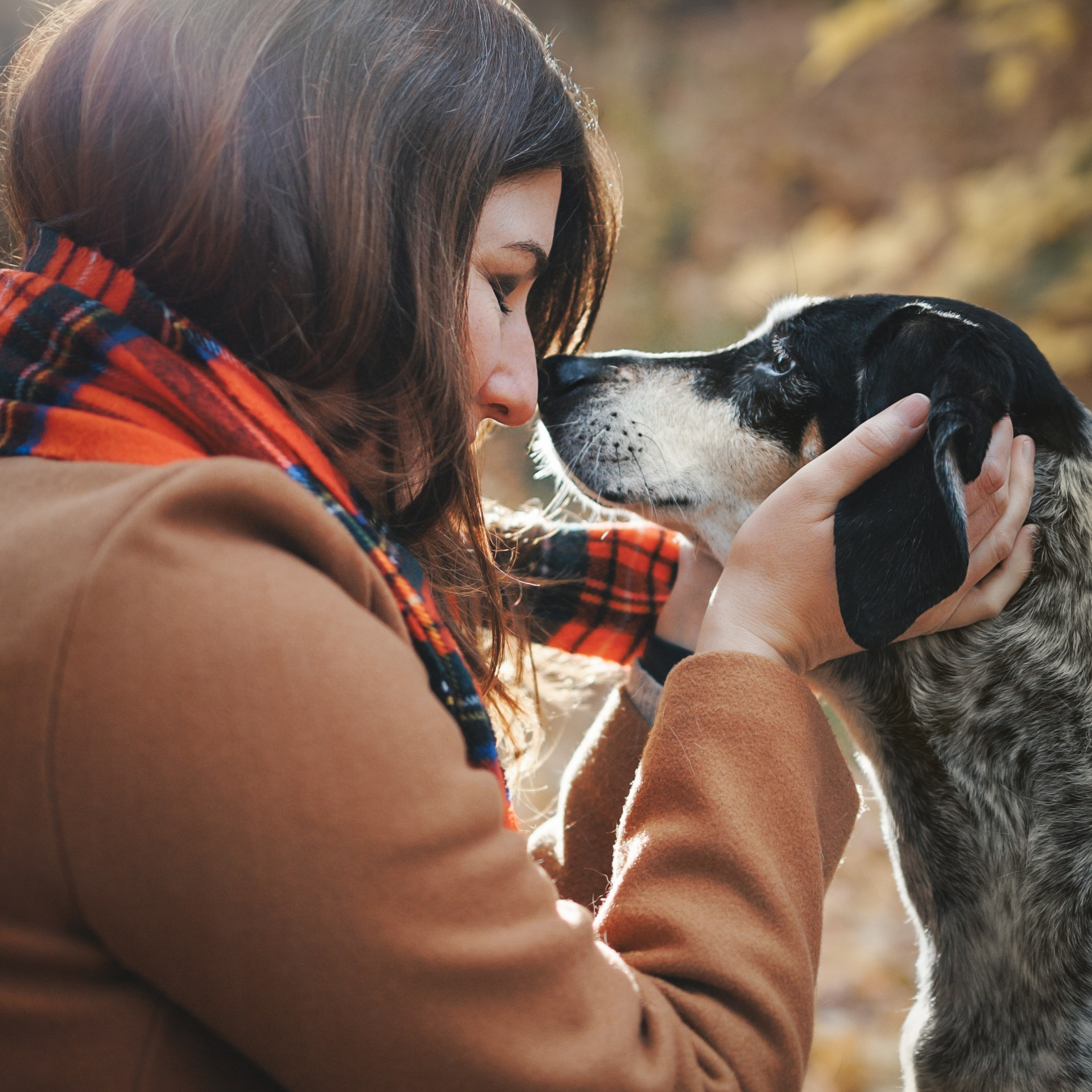 Testimonials. Pet Photographer Viktoriya Aleshenko