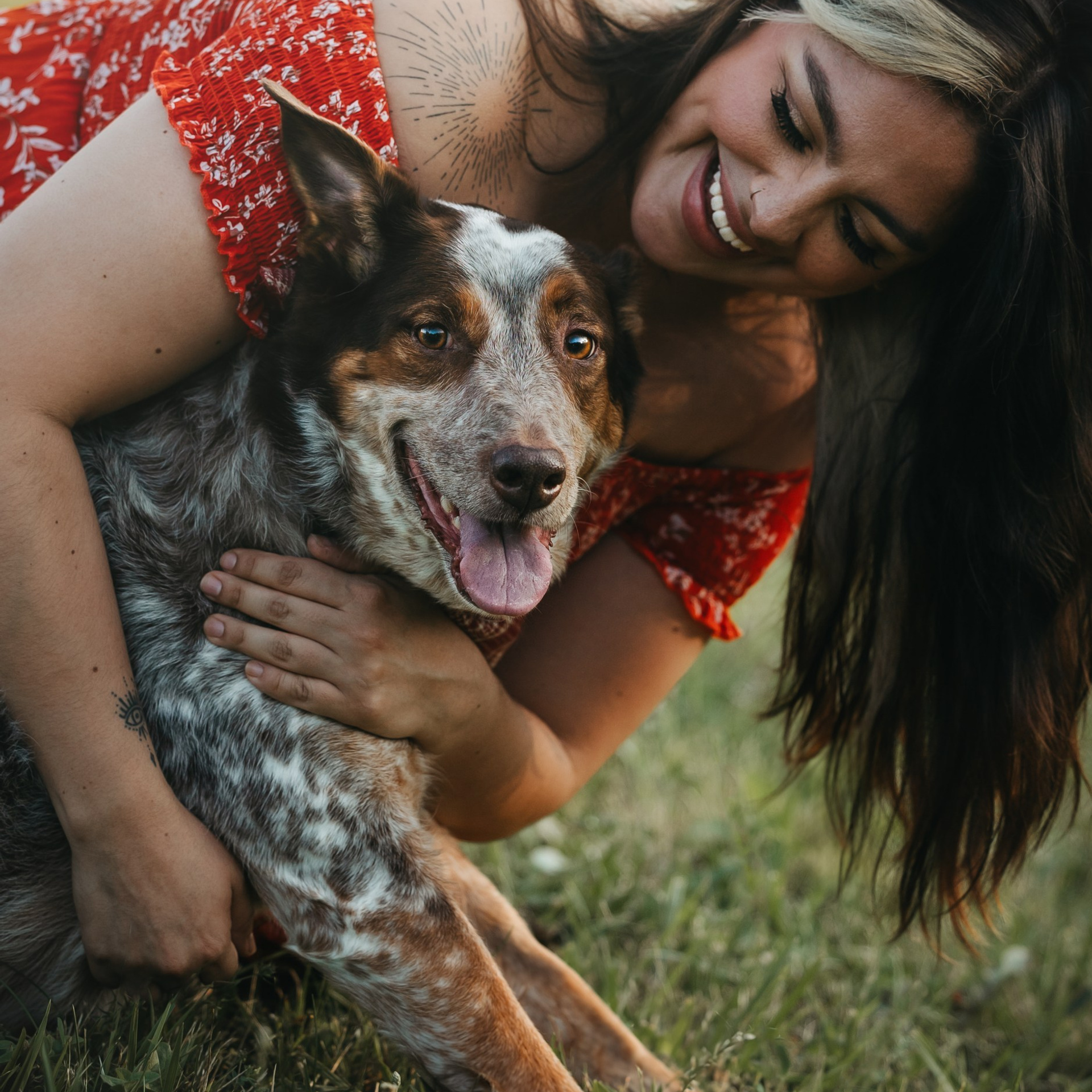 Testimonials. Pet Photographer Viktoriya Aleshenko