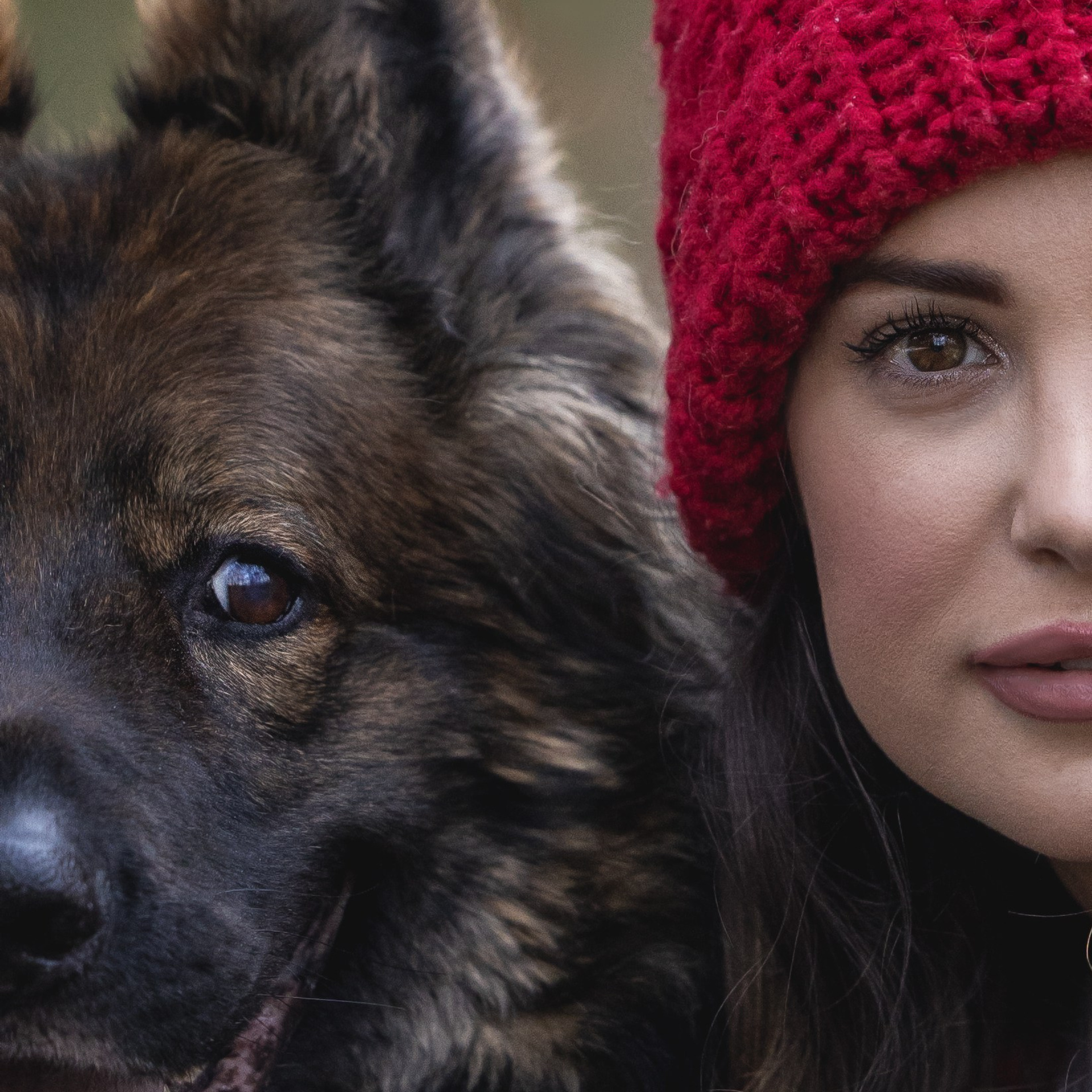 Testimonials. Pet Photographer Viktoriya Aleshenko